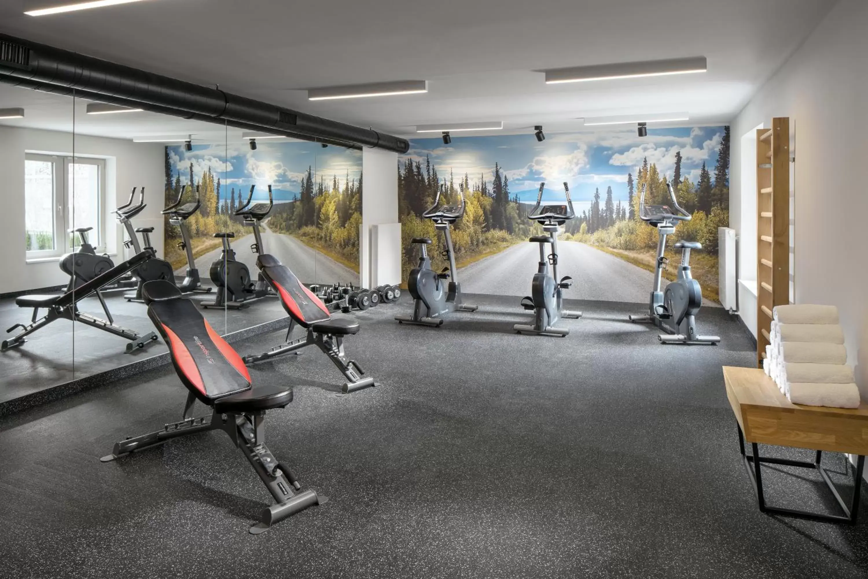 Fitness centre/facilities, Fitness Center/Facilities in Comfort Hotel Prague City