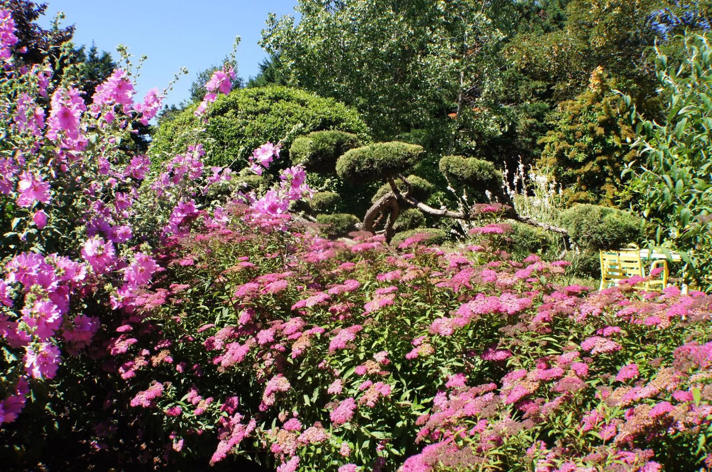 Day in The Originals City, Hôtel La Siesta, Annonay Est