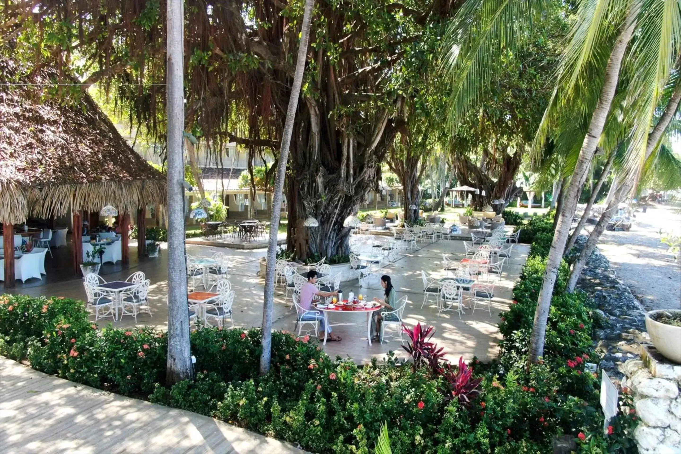 Balcony/Terrace in Hotel Tamarindo Diria Beach Resort