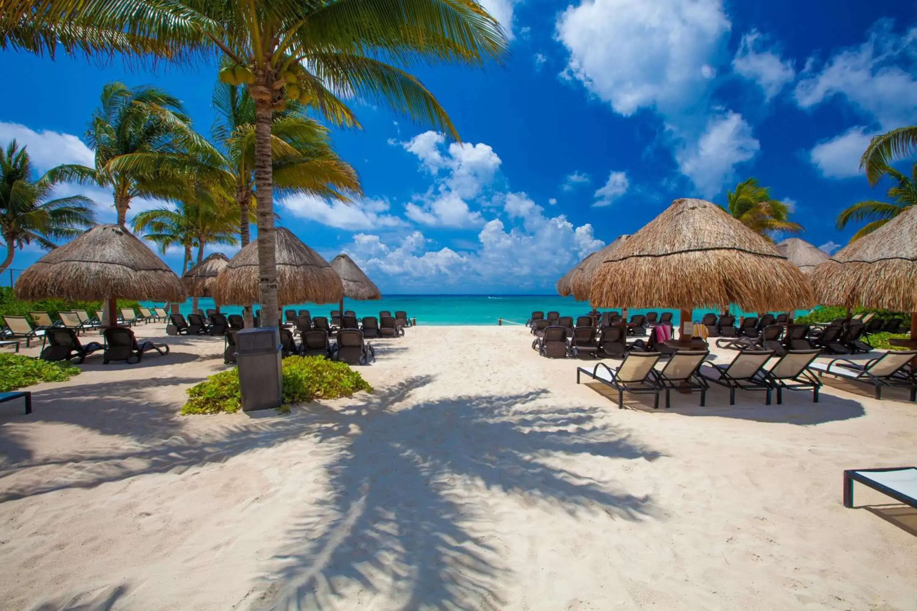 Beach in The Elements Oceanfront & Beachside Condo Hotel