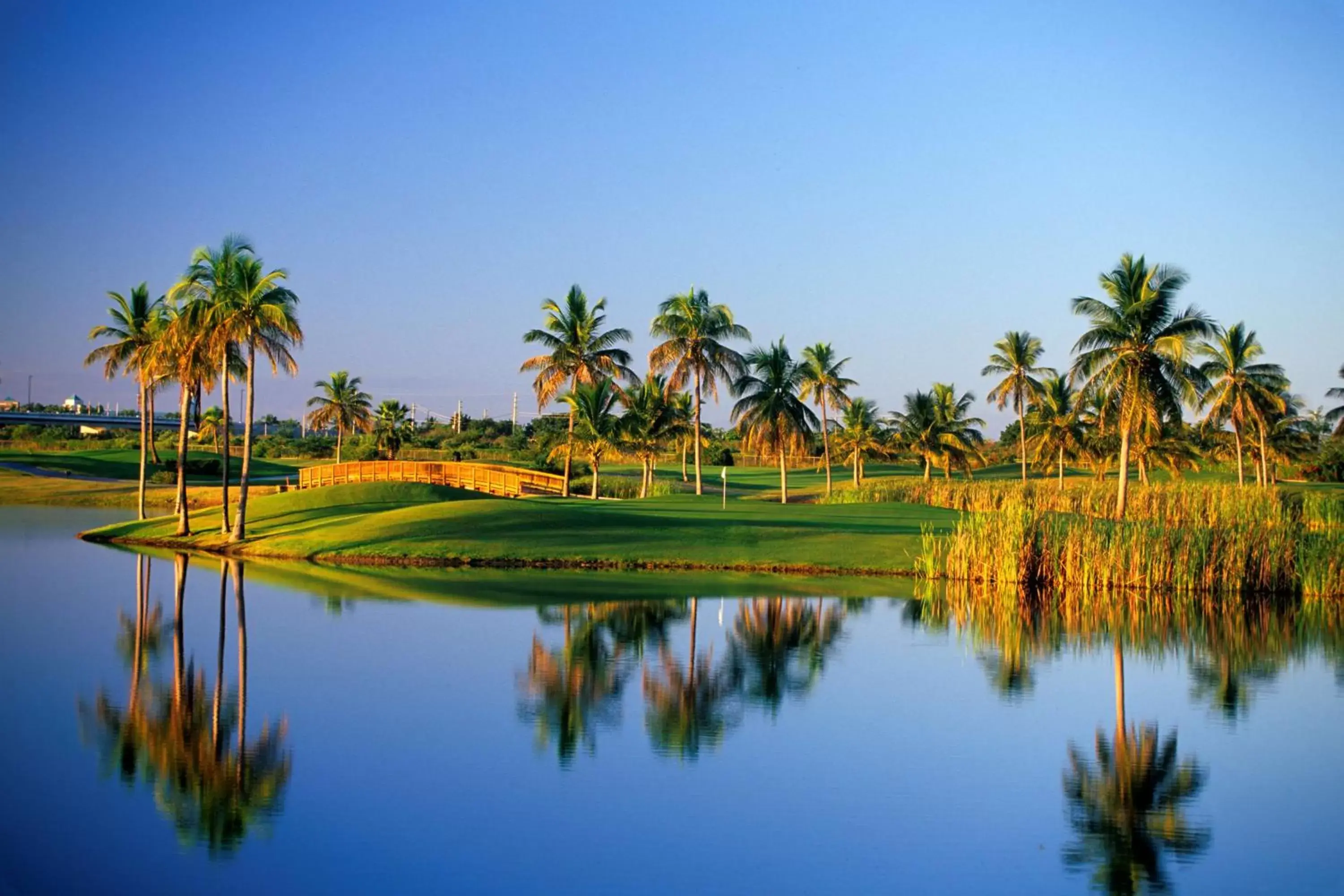 Golfcourse in Hilton Ponce Golf & Casino Resort