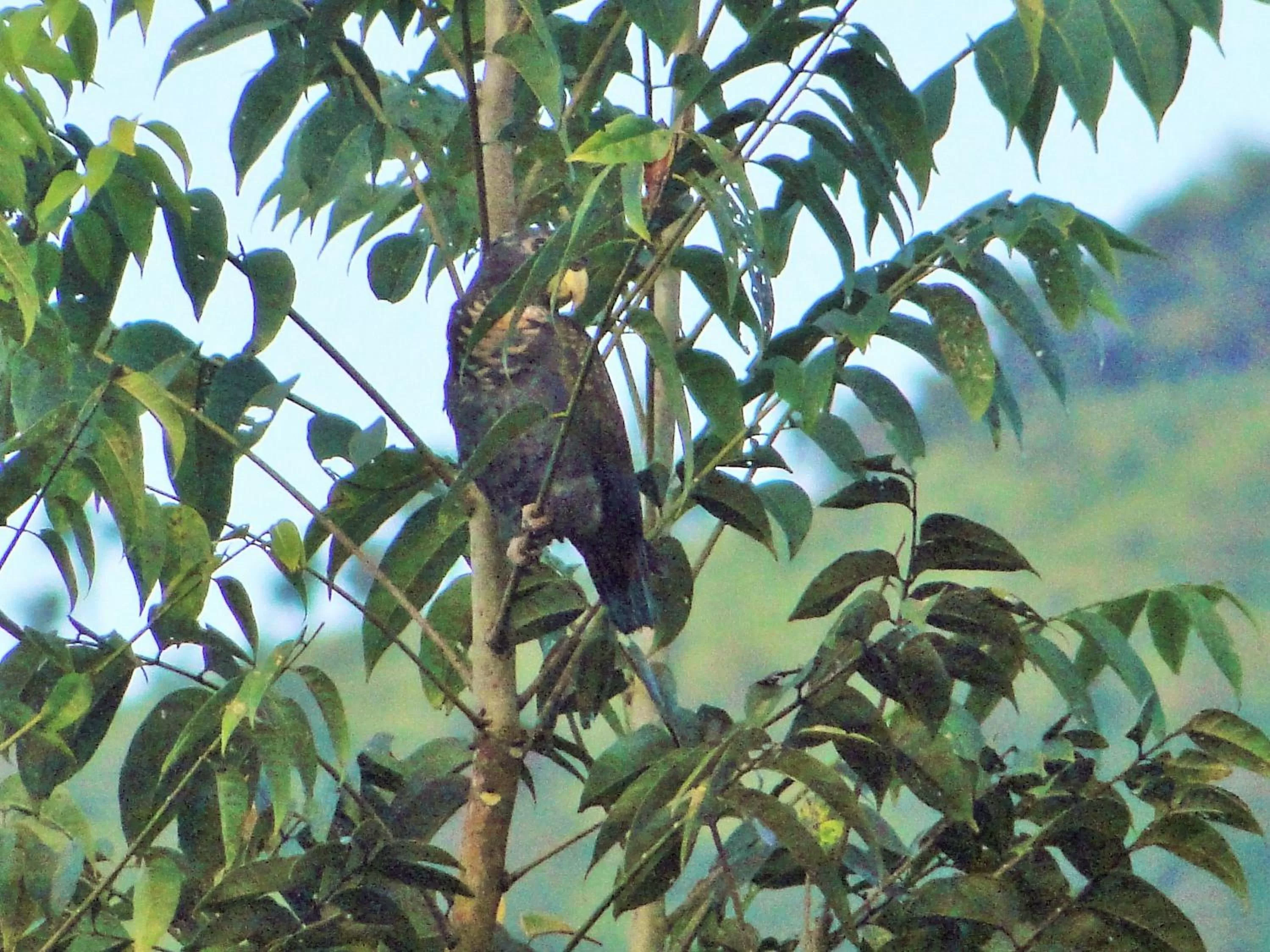 Natural Landscape in Hosteria Florecer
