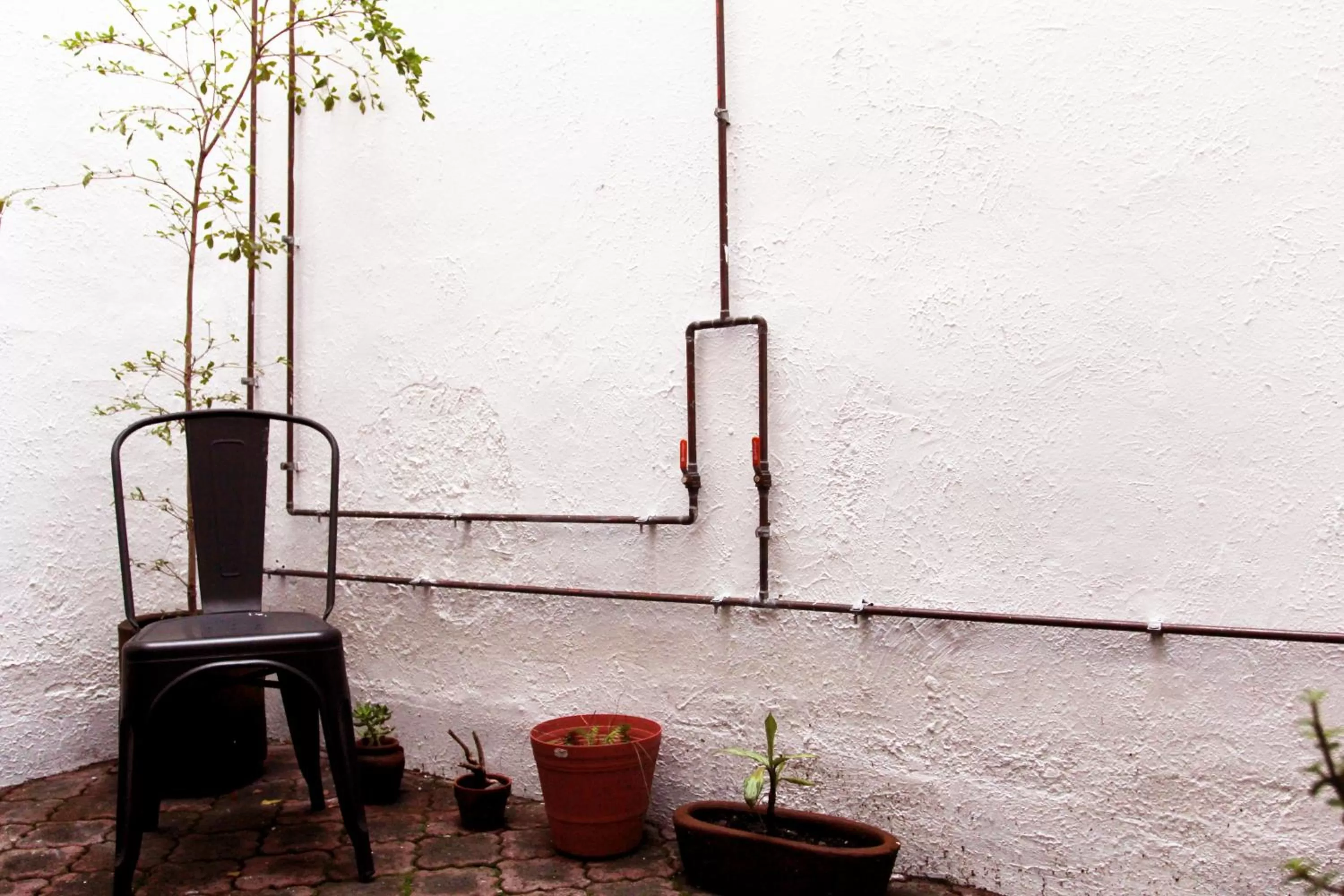 Patio in VL Hotel Boutique Consulado Chapu Guadalajara