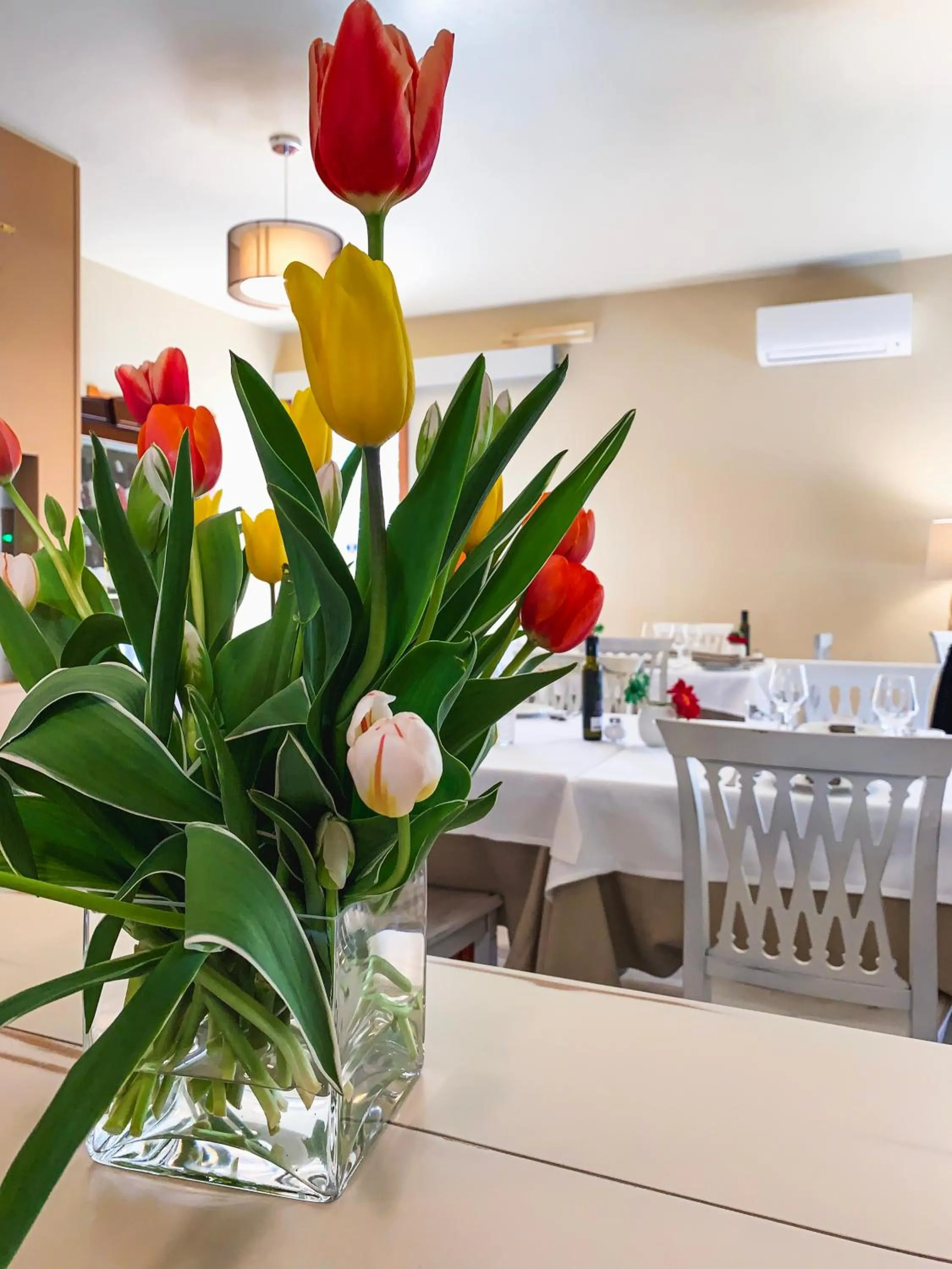 Restaurant/places to eat in Hotel Donatella