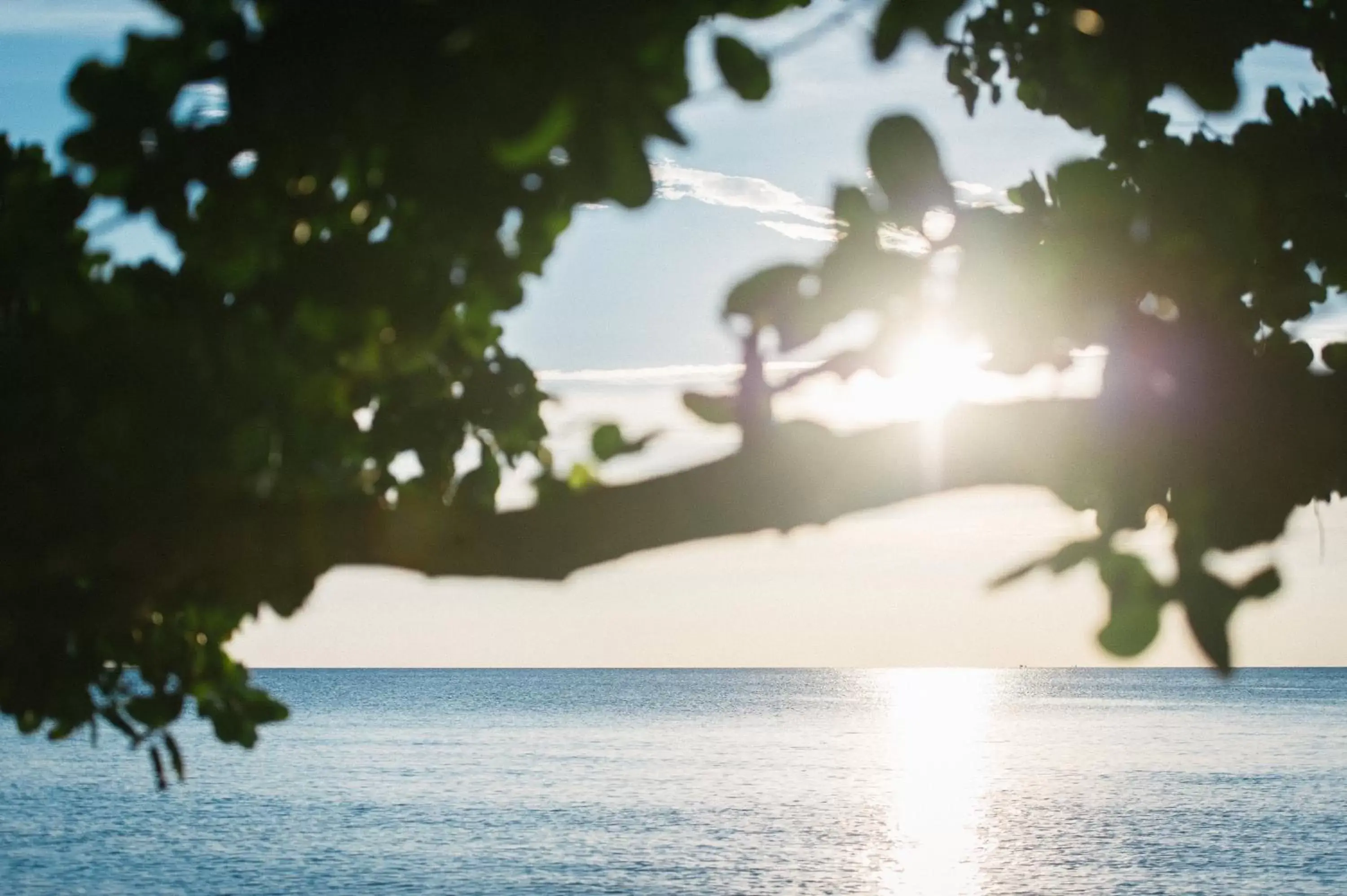 Sea view, Natural Landscape in Medee Resort