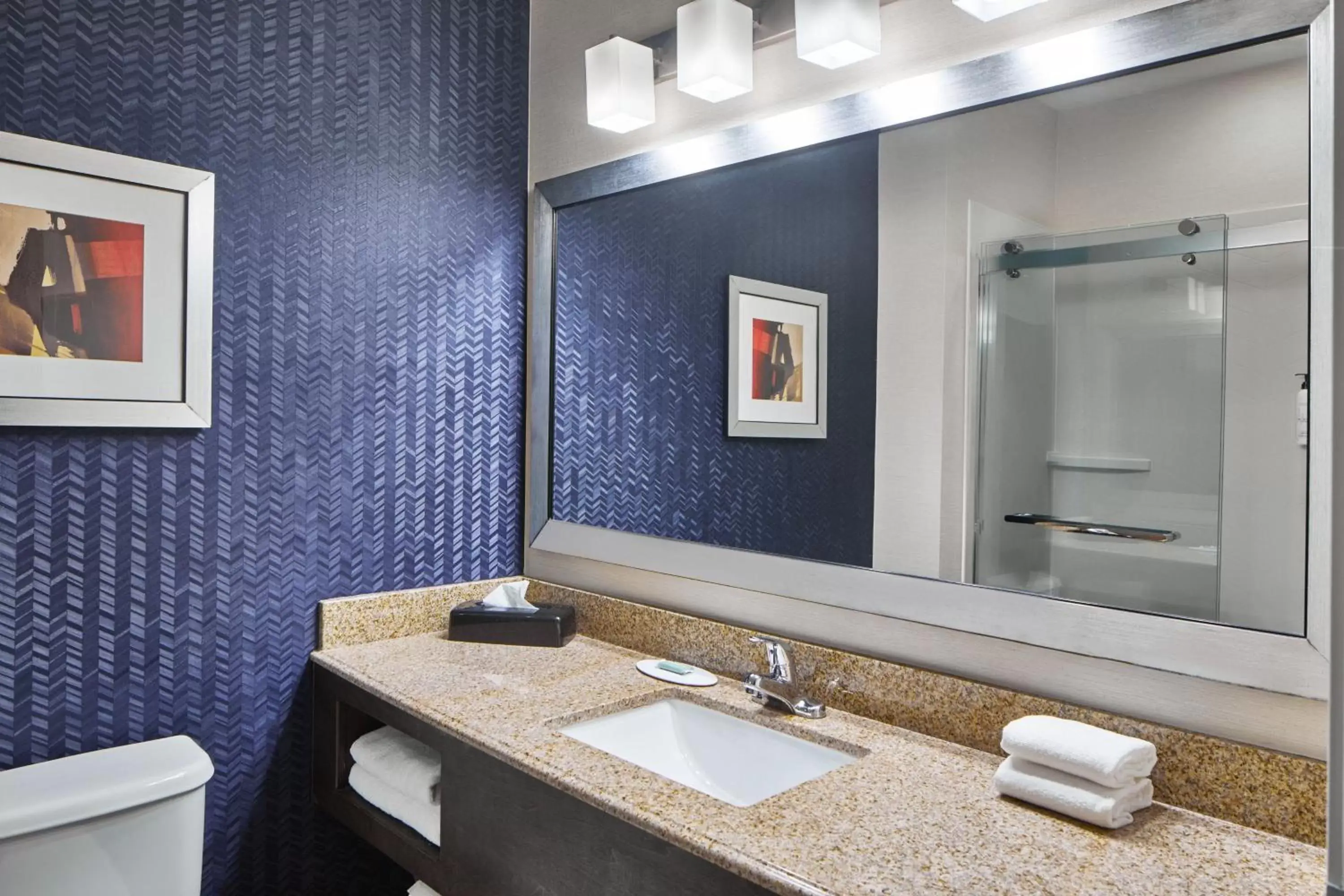 Bathroom in Fairfield Inn & Suites by Marriott Gainesville