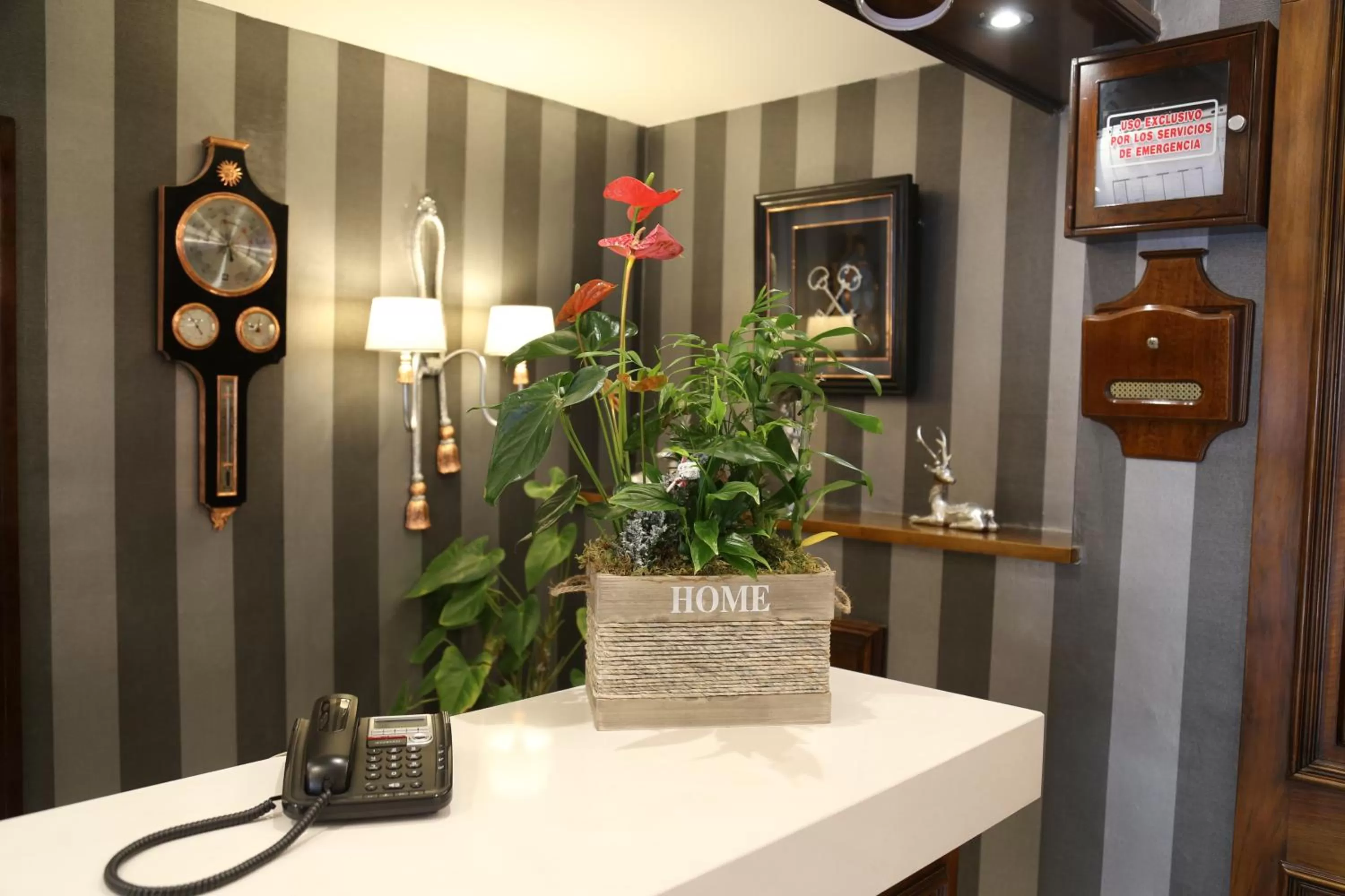 Decorative detail in Princesa Ana