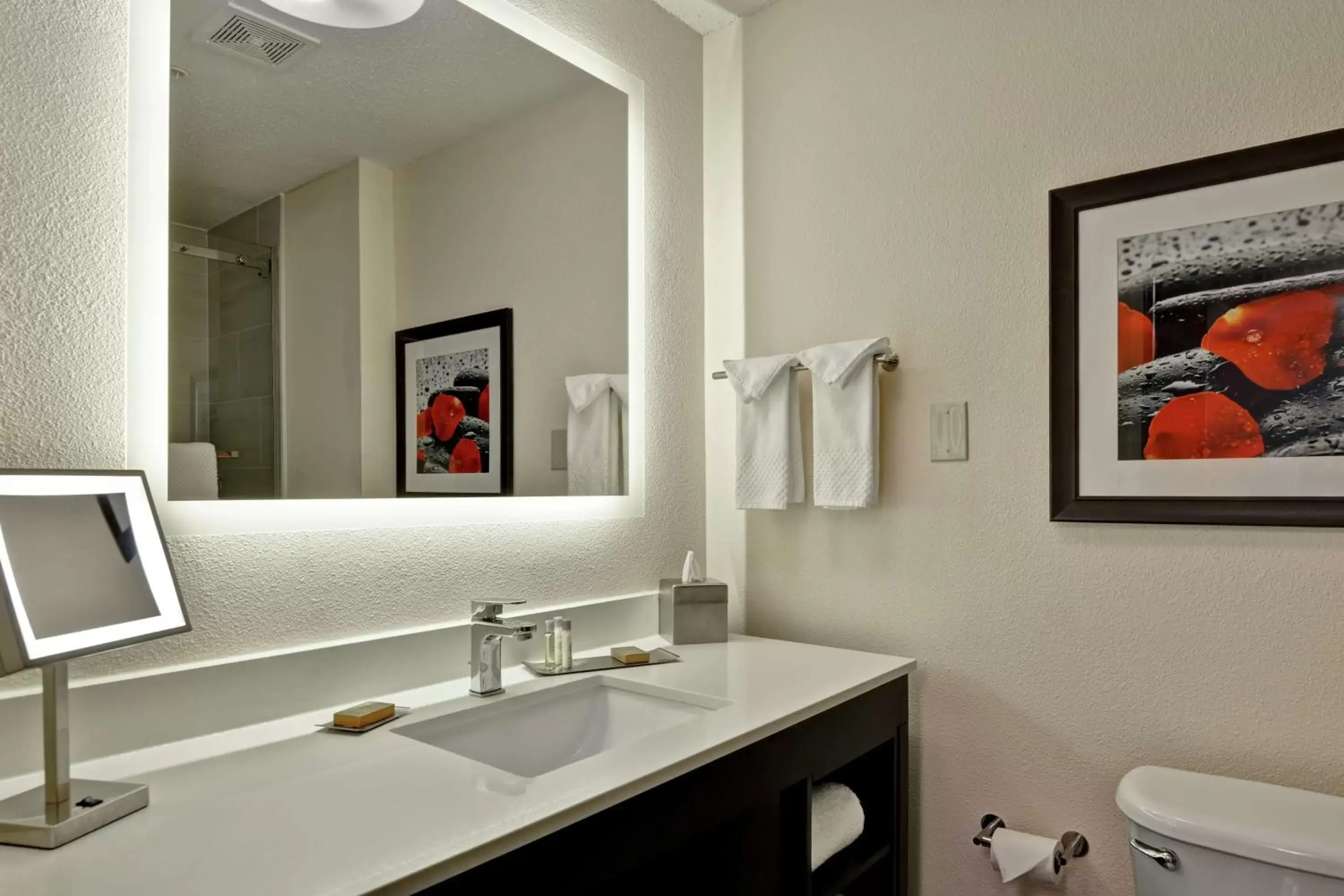 Bathroom in DoubleTree by Hilton Hattiesburg, MS