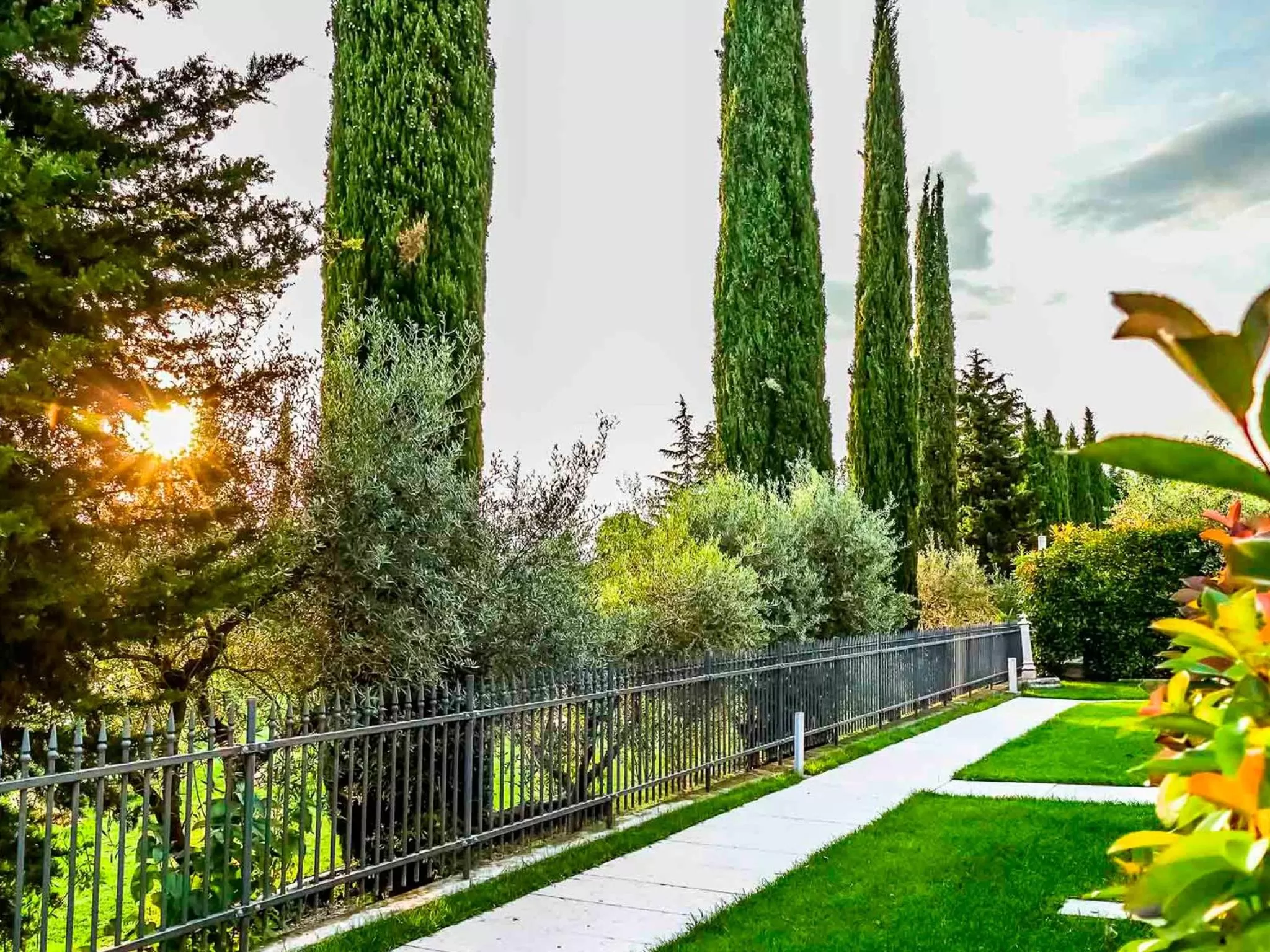 Garden view in Hotel Relais Agli Olivi