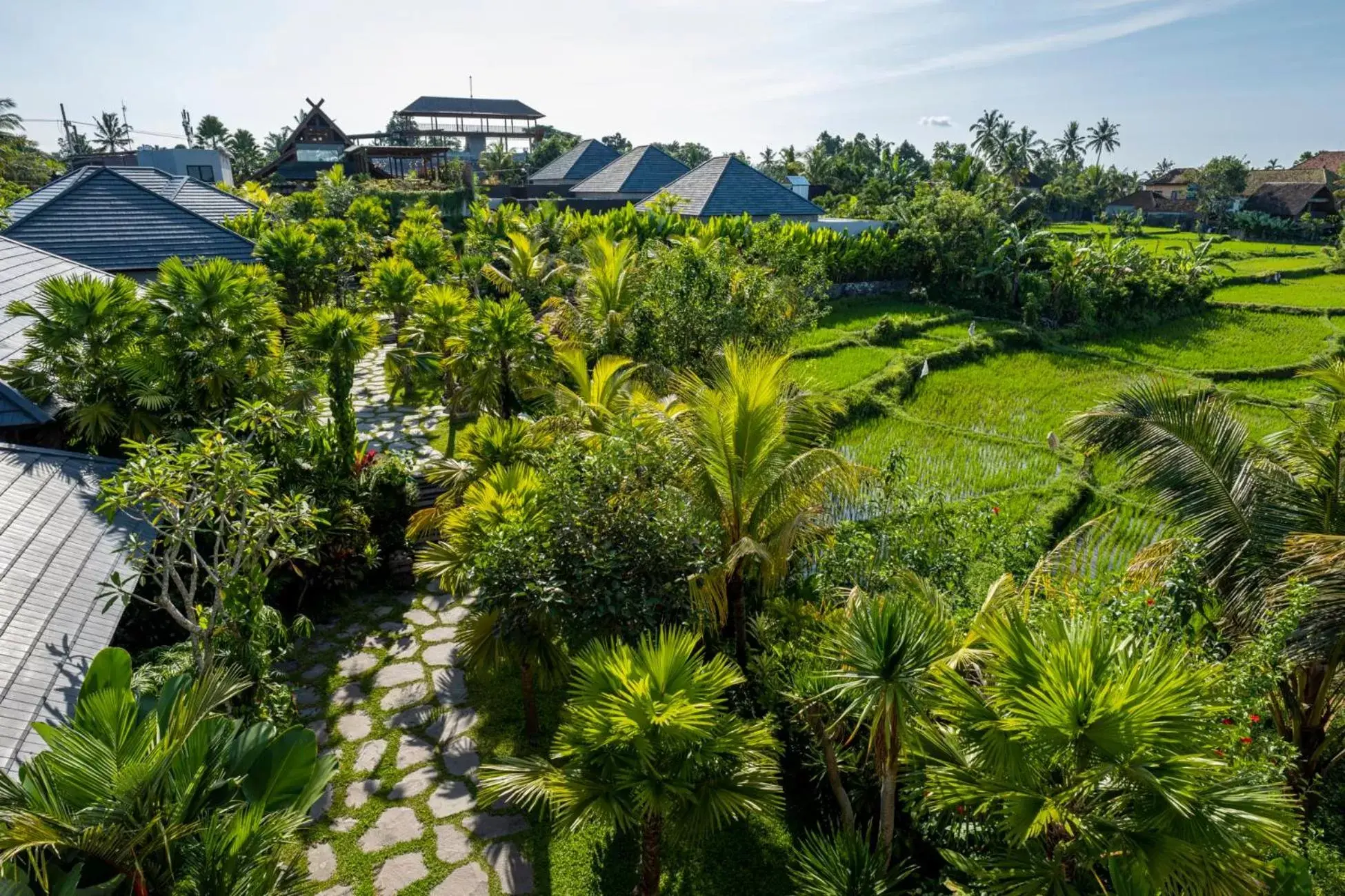 Natural landscape in Adiwana Unagi Suites