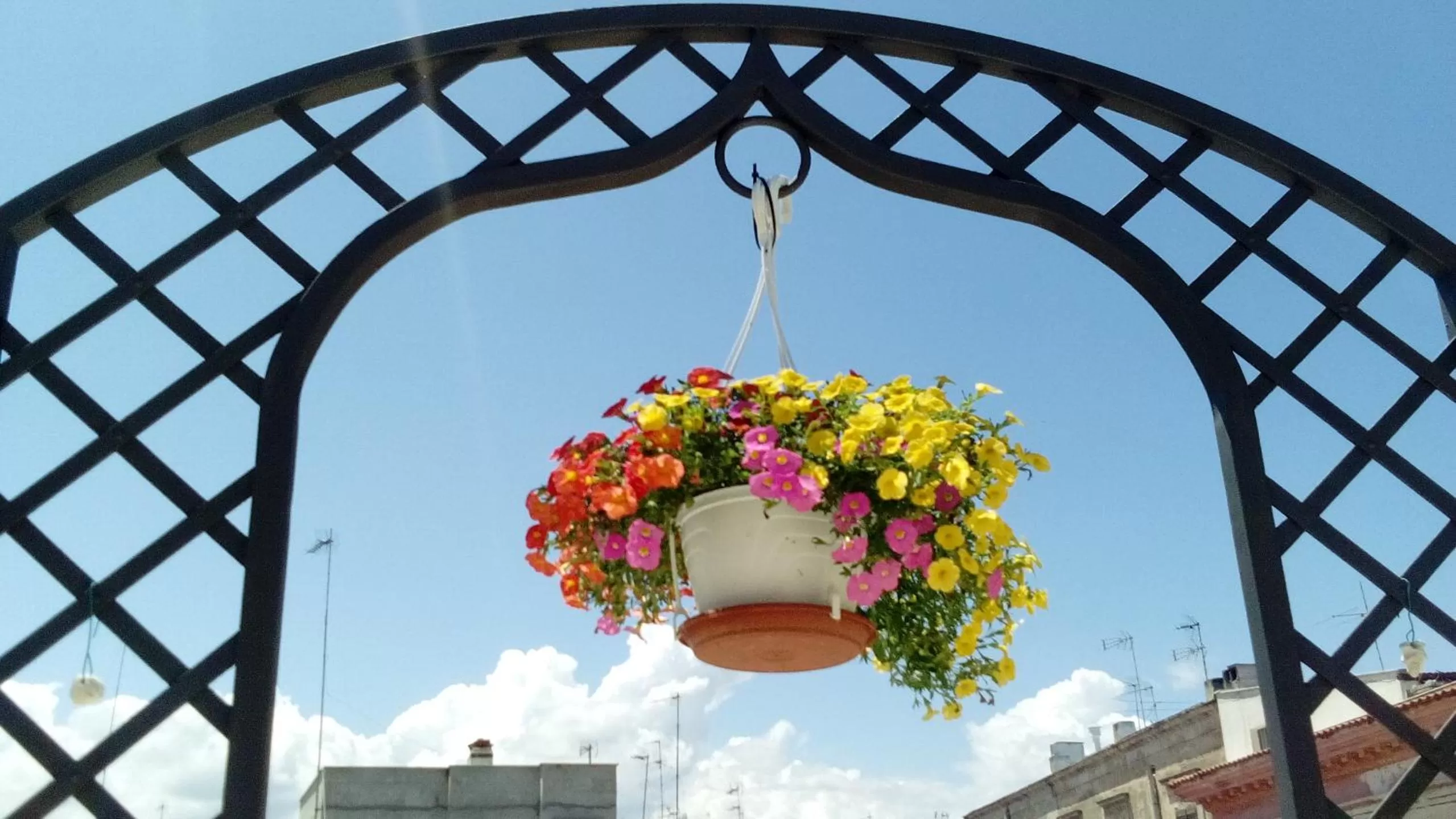 Balcony/Terrace in 3 Archi B&B