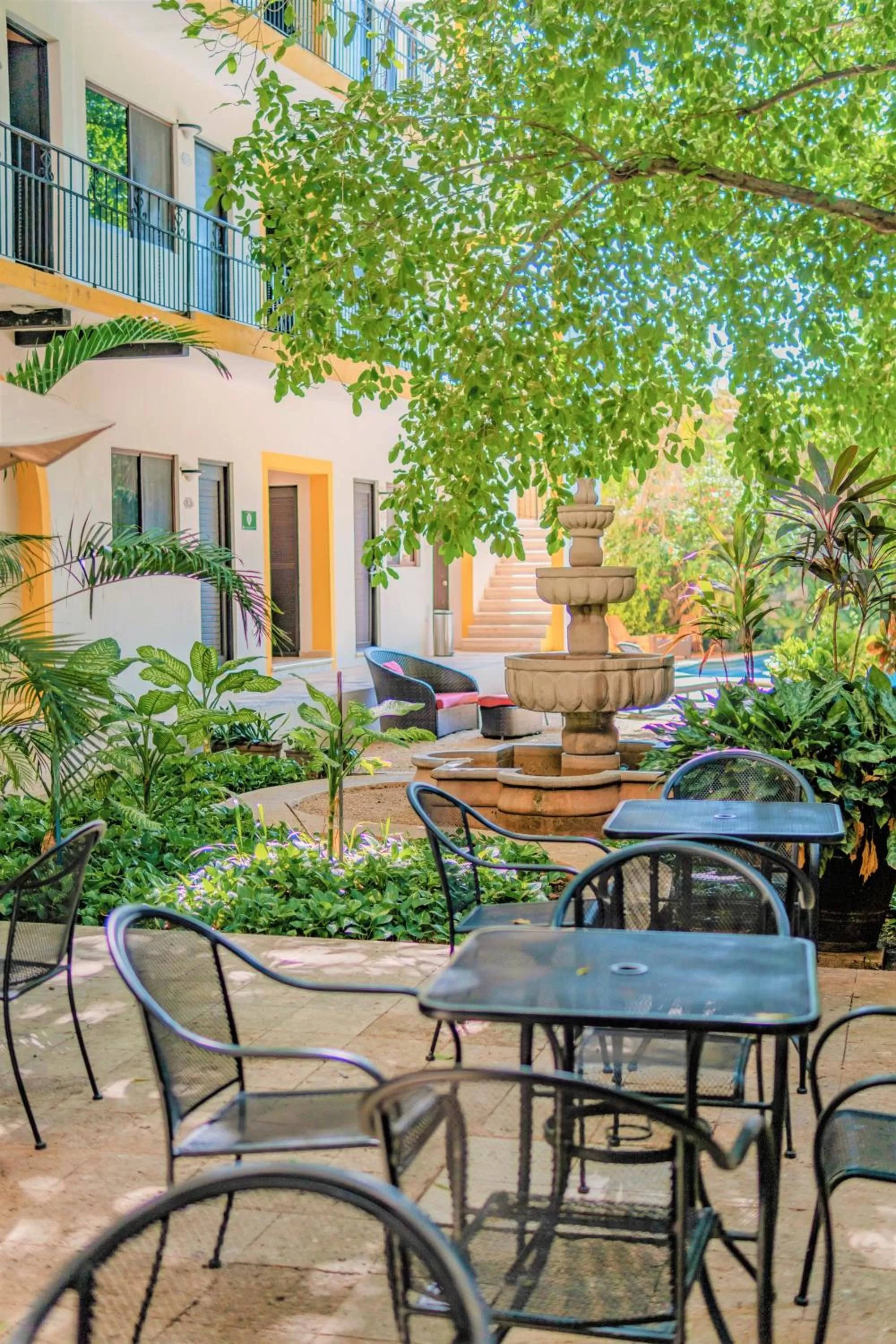 Garden in Maison del Embajador