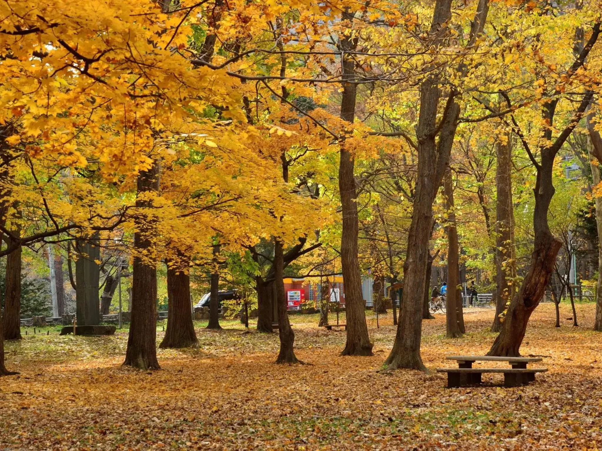 Nearby landmark, Garden in APA Hotel & Resort Sapporo