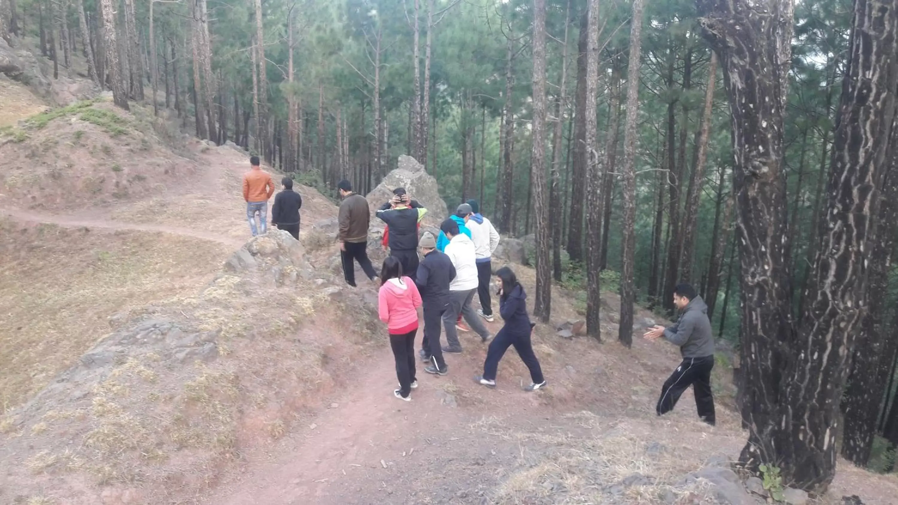 Property building, Horseback Riding in Fortune Select Forest Hill, Mahiya, Kasauli - Member ITC's Hotel Group Property building, Horseback Riding in Fortune Select Forest Hill, Mahiya, Kasauli - Member ITC's Hotel Group