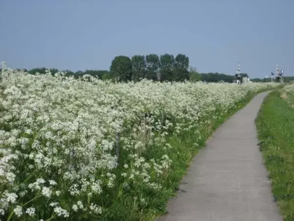 Spring in de Twee Paardjes