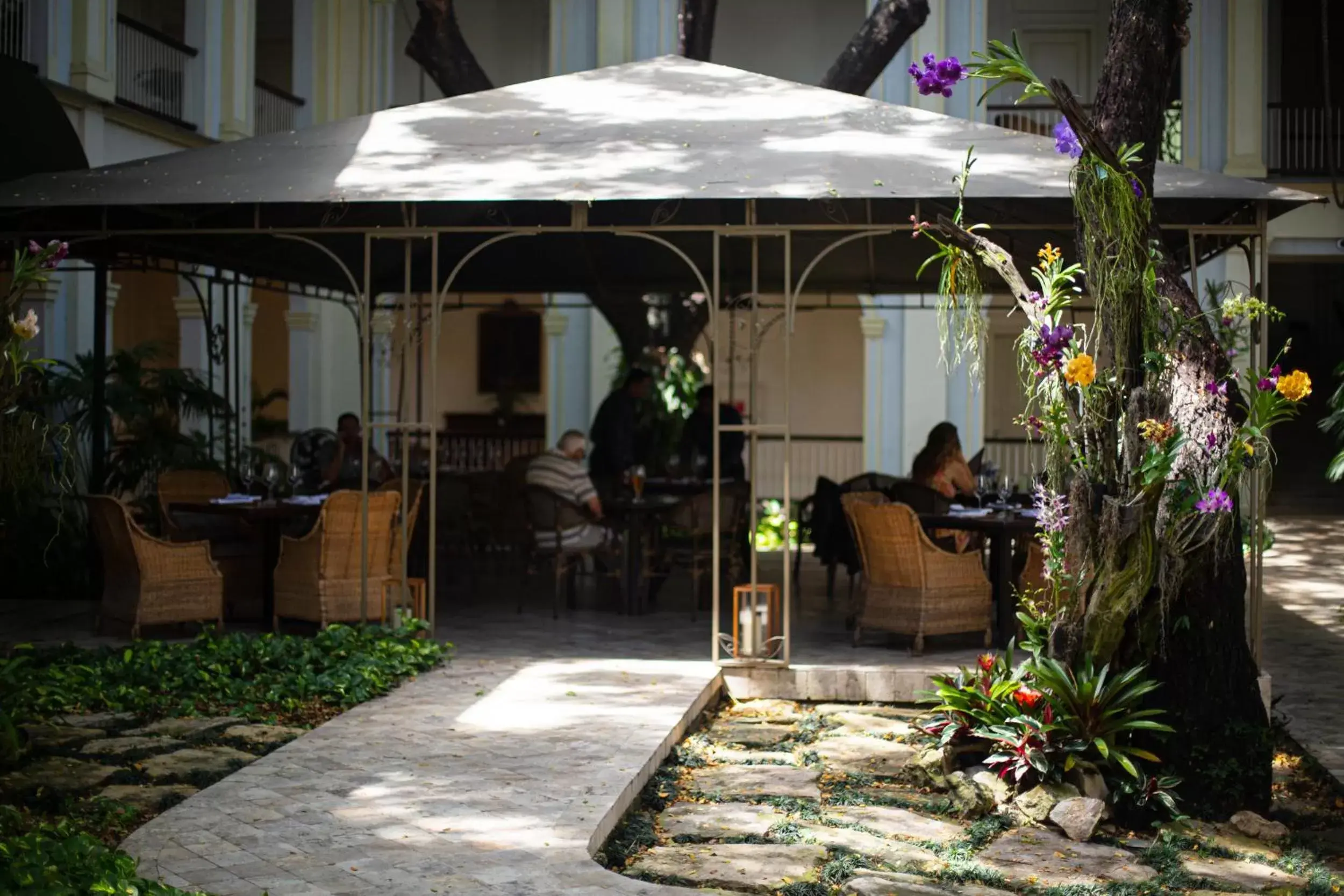 Patio in Hotel del Parque