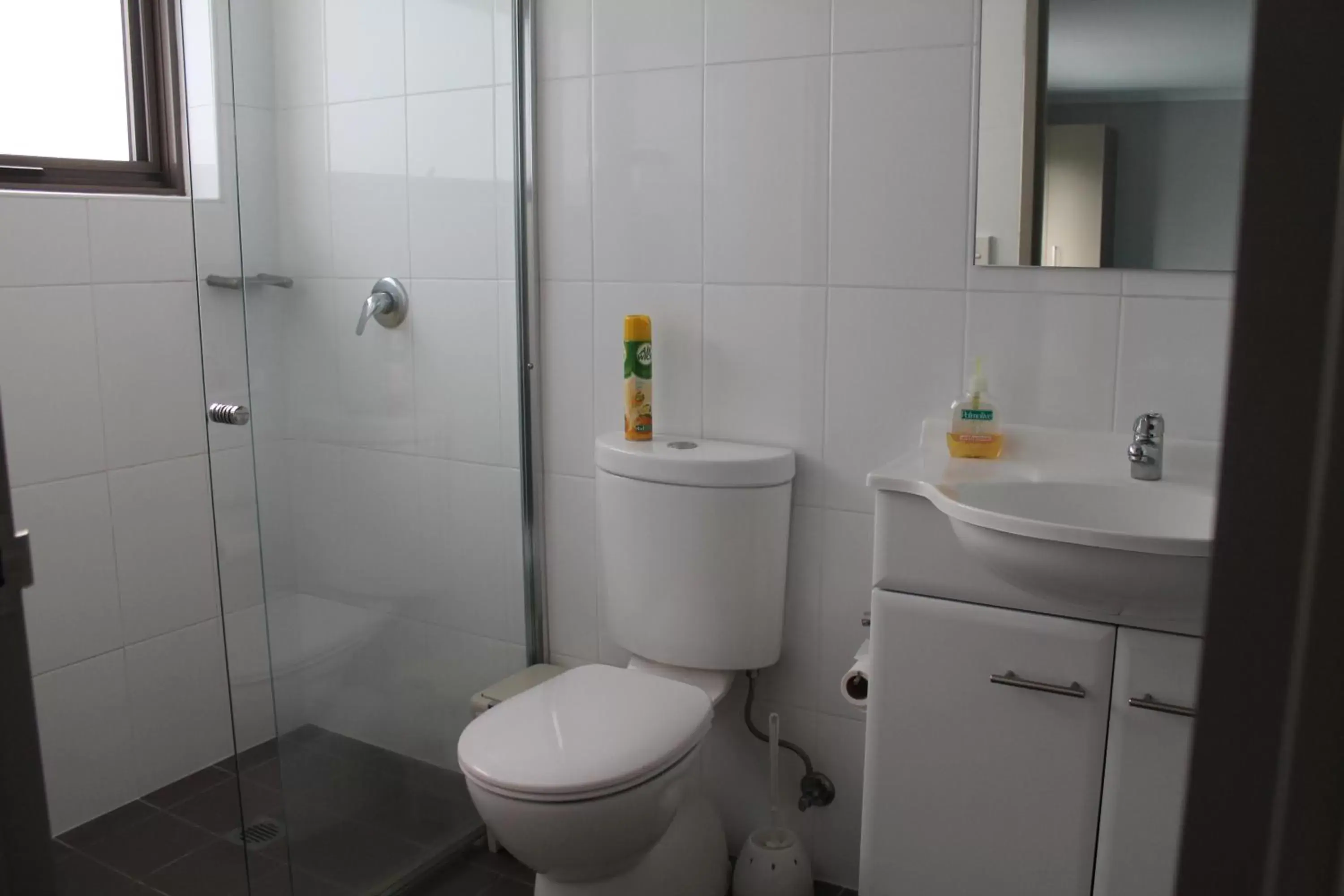 Toilet, Bathroom in Strathfield Executive Accommodation