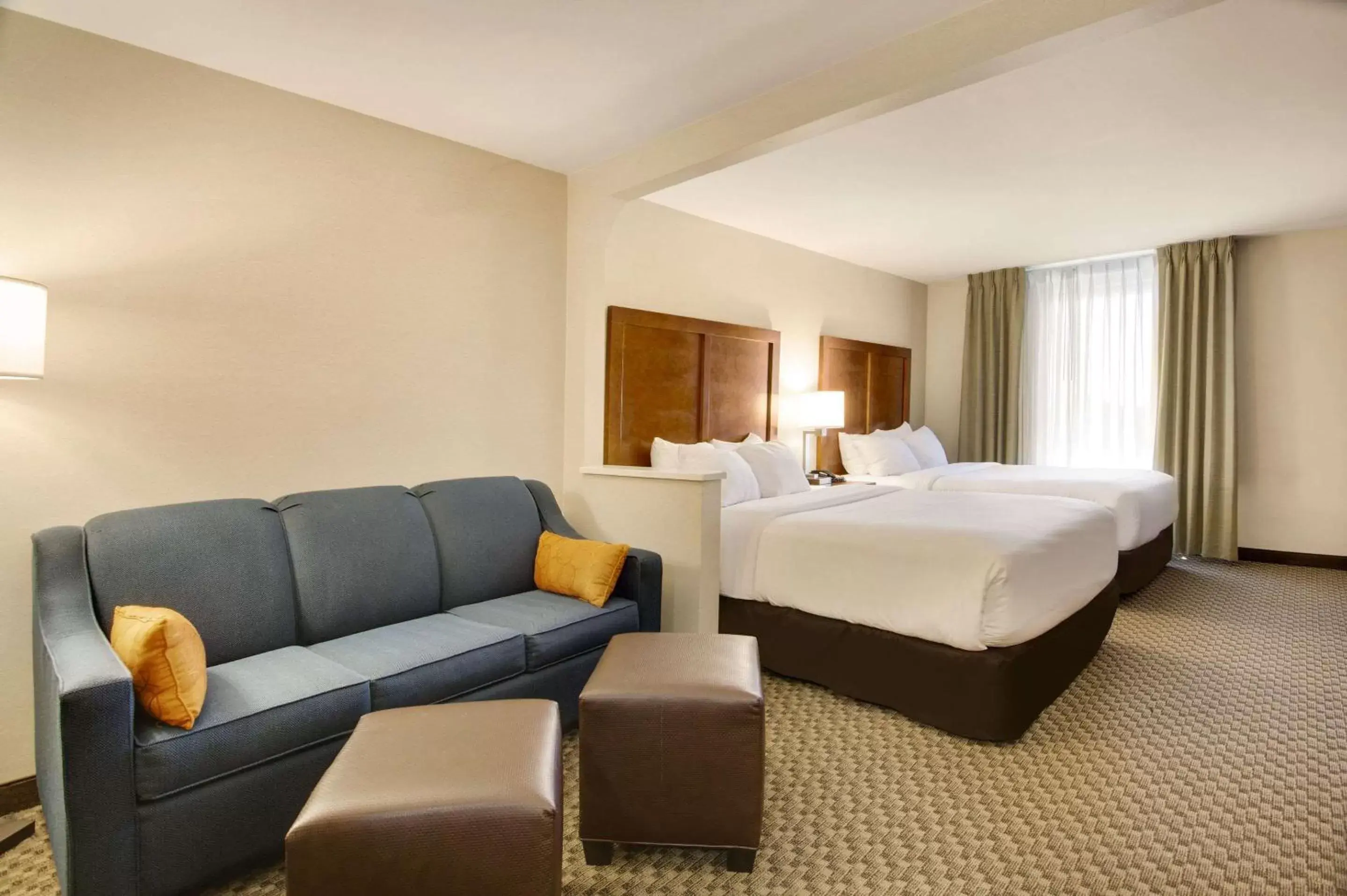 Photo of the whole room in Comfort Inn Airport Roanoke