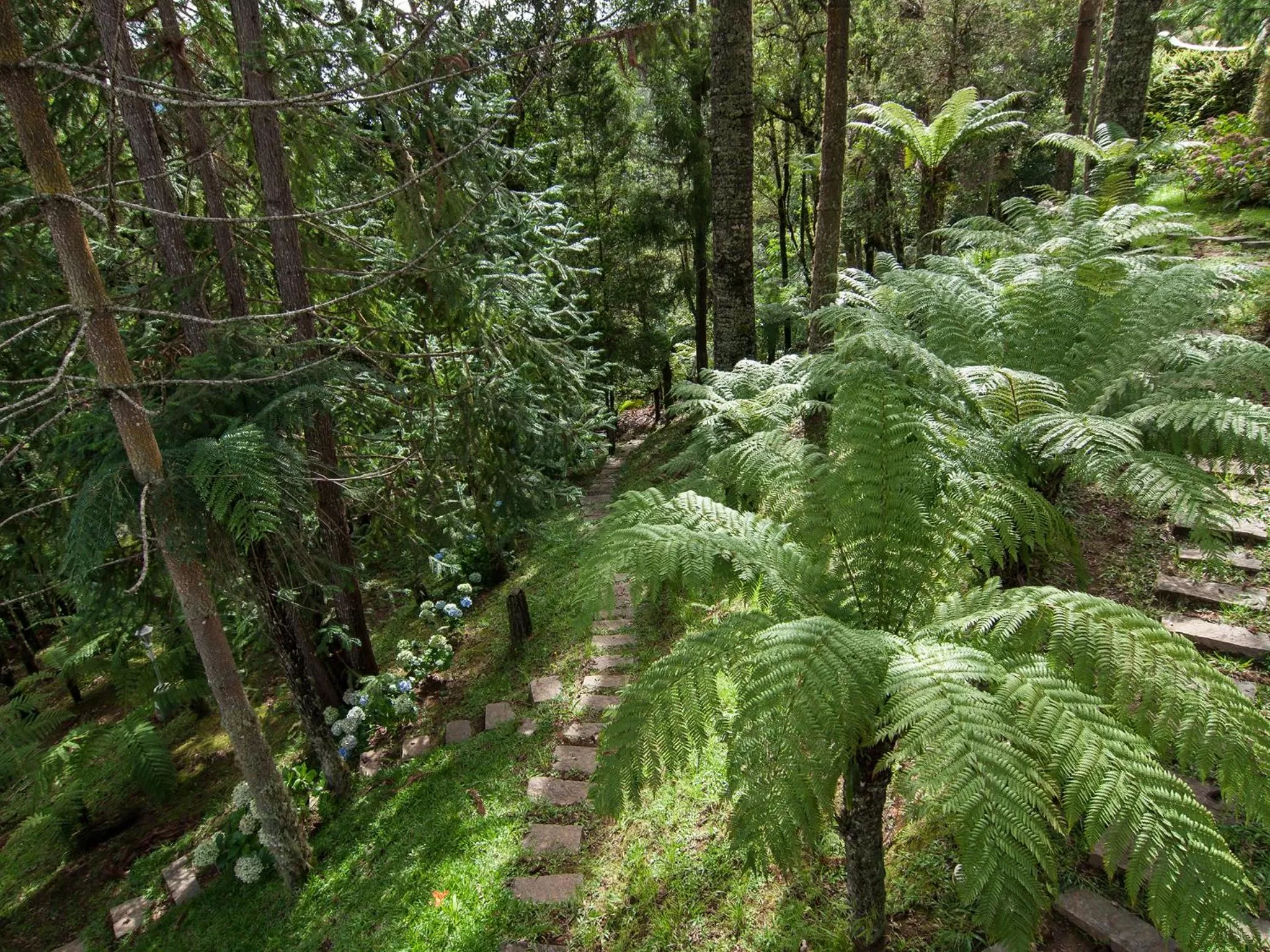 Garden in Pousada Ricanto Amore Mio
