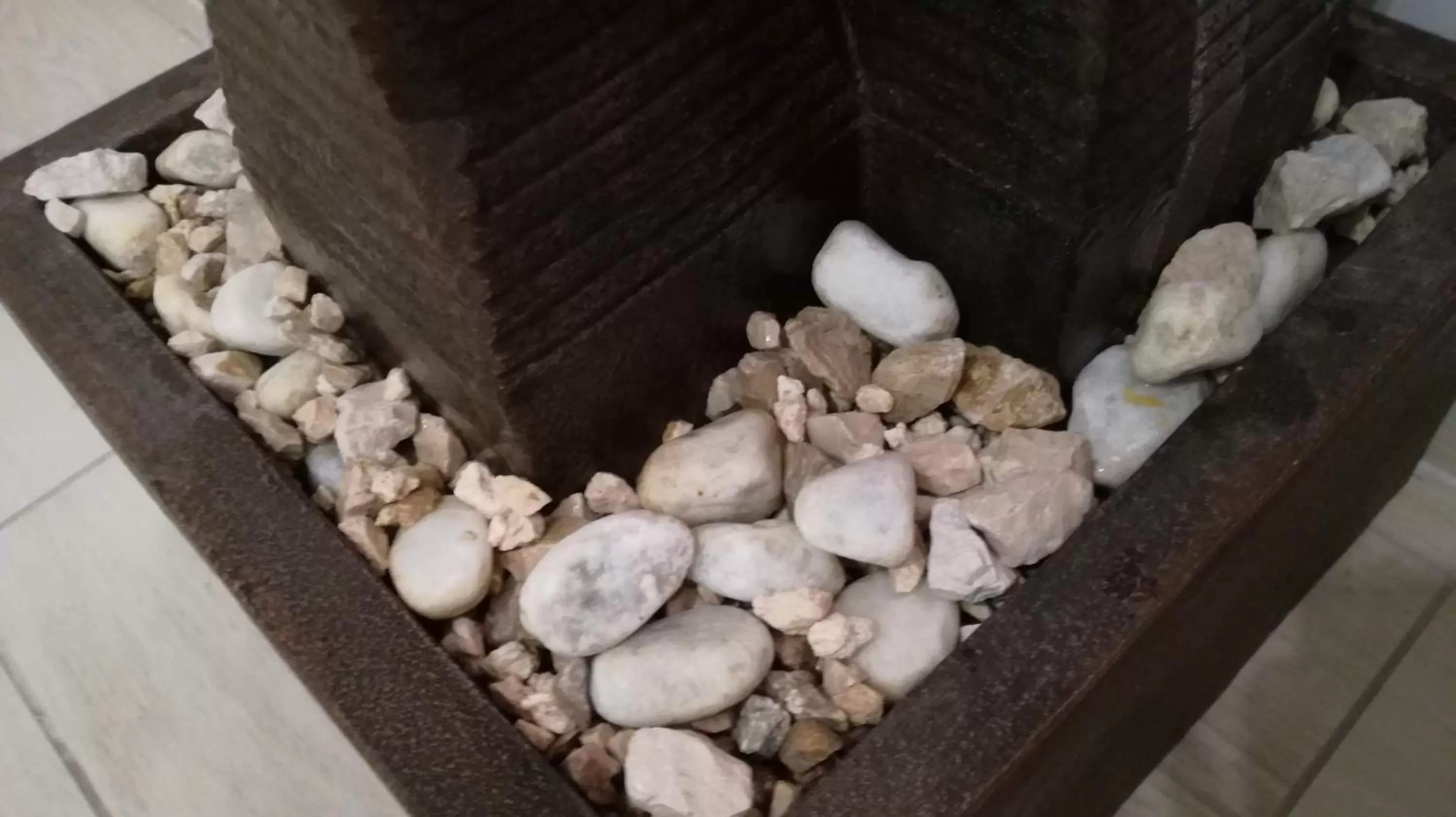 Food in Bonsai Bed & Breakfast