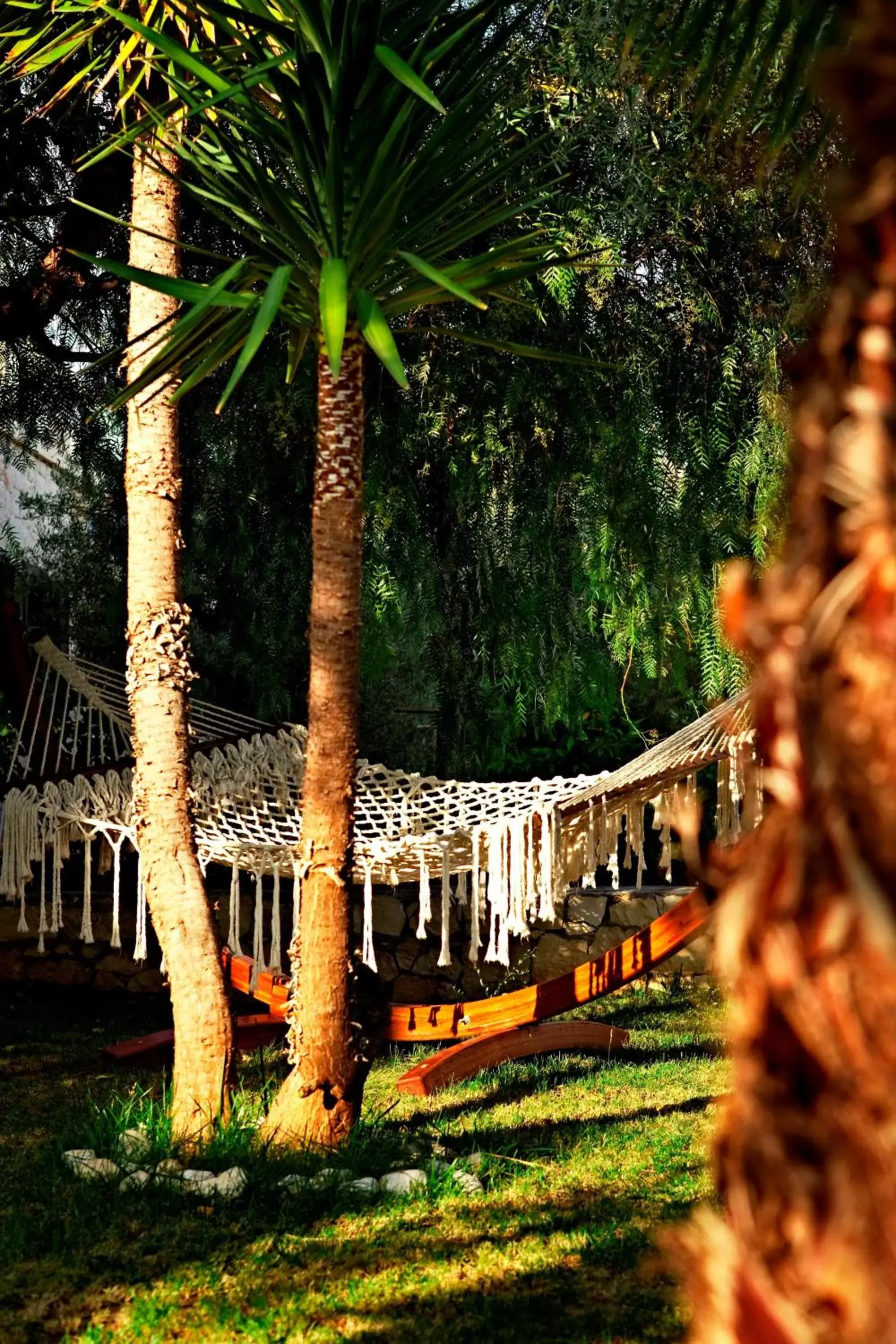 Facade/entrance in Olea Nova Hotel Facade/entrance in Olea Nova Hotel