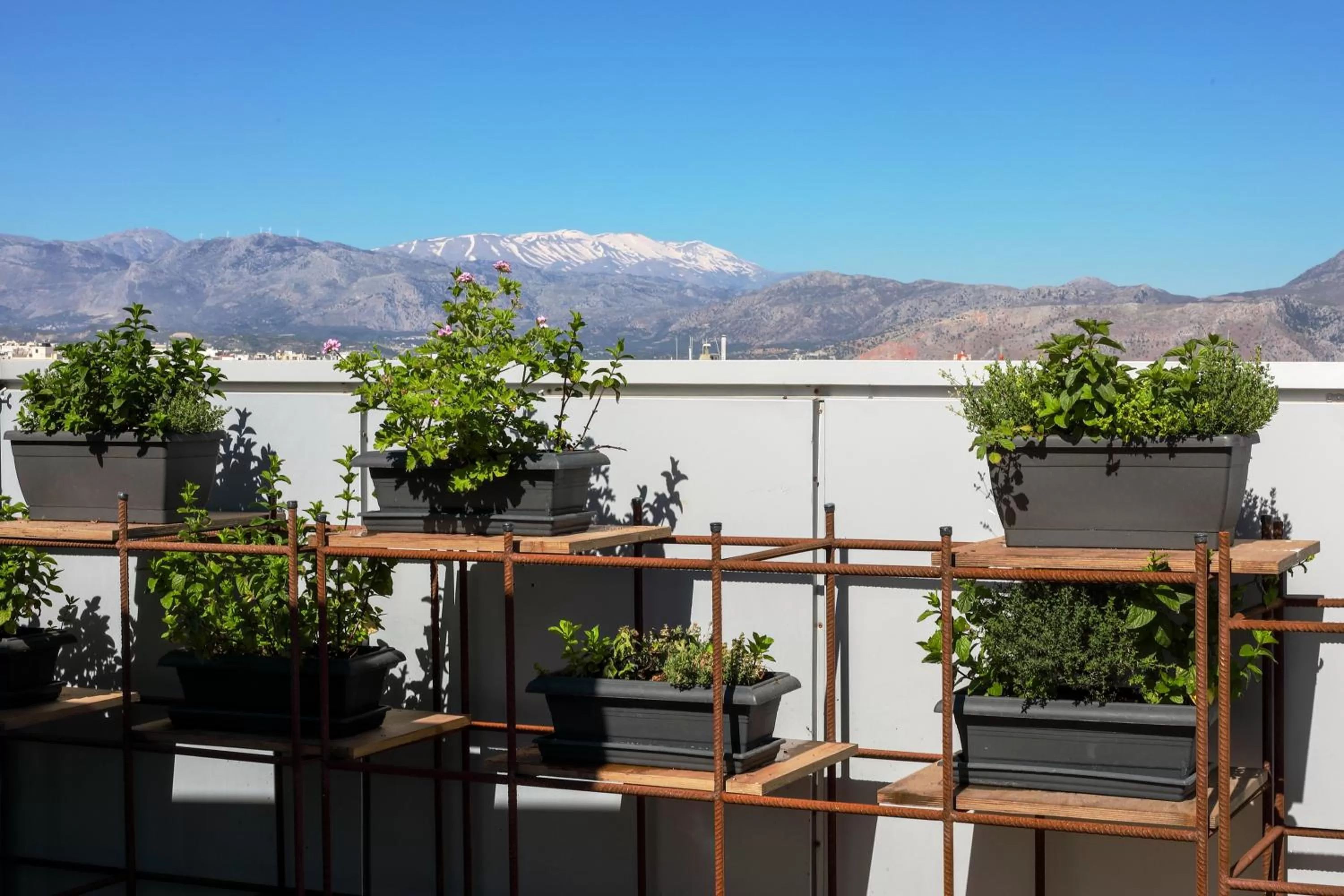 Restaurant/places to eat in Capsis Astoria Heraklion