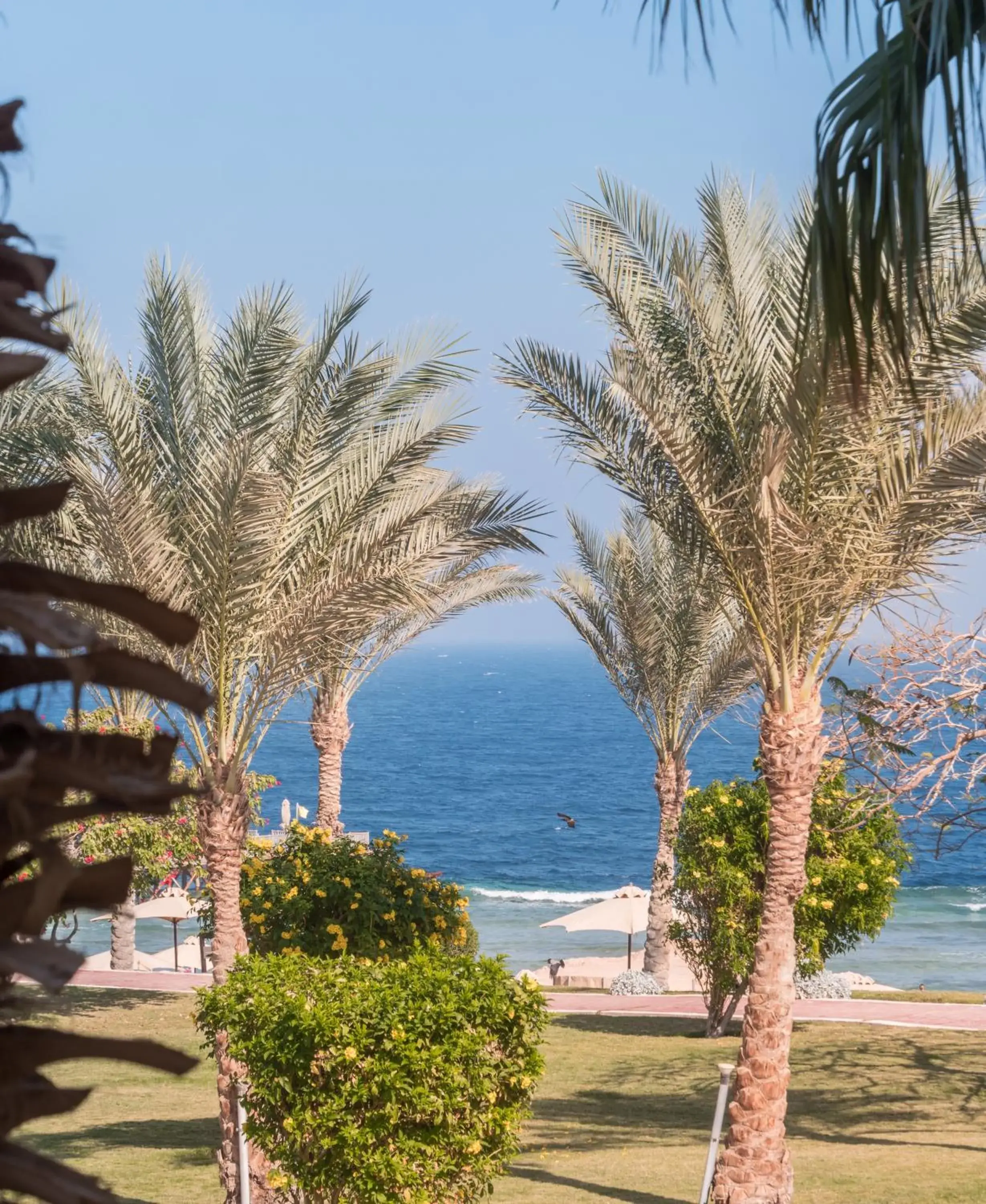 Garden in Serenity Makadi Beach