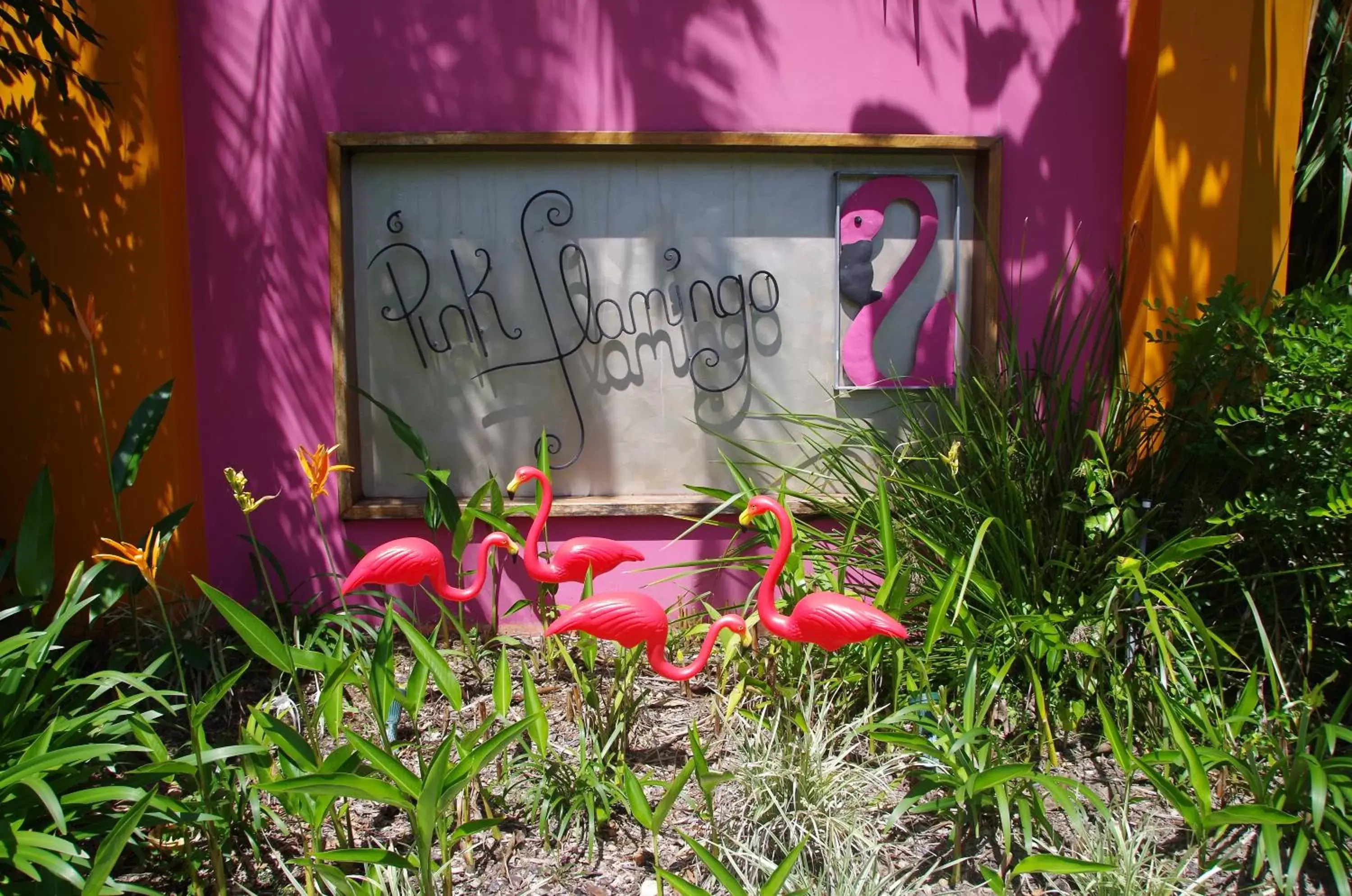 Facade/entrance in Pink Flamingo Resort