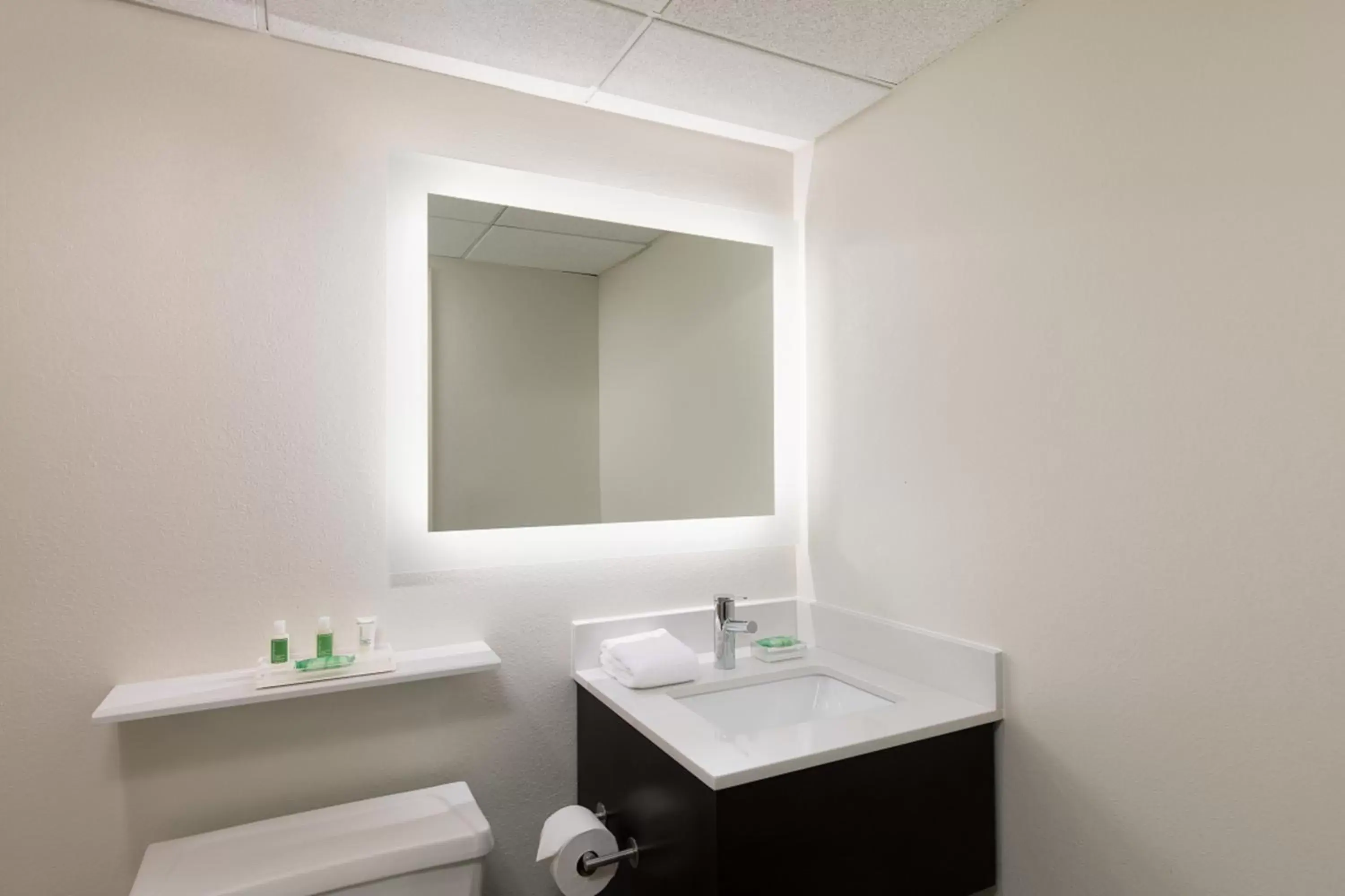 Double Room with Hearing Mobility Accesible Tub - Non-Smoking in Holiday Inn Clark - Newark, an IHG Hotel
