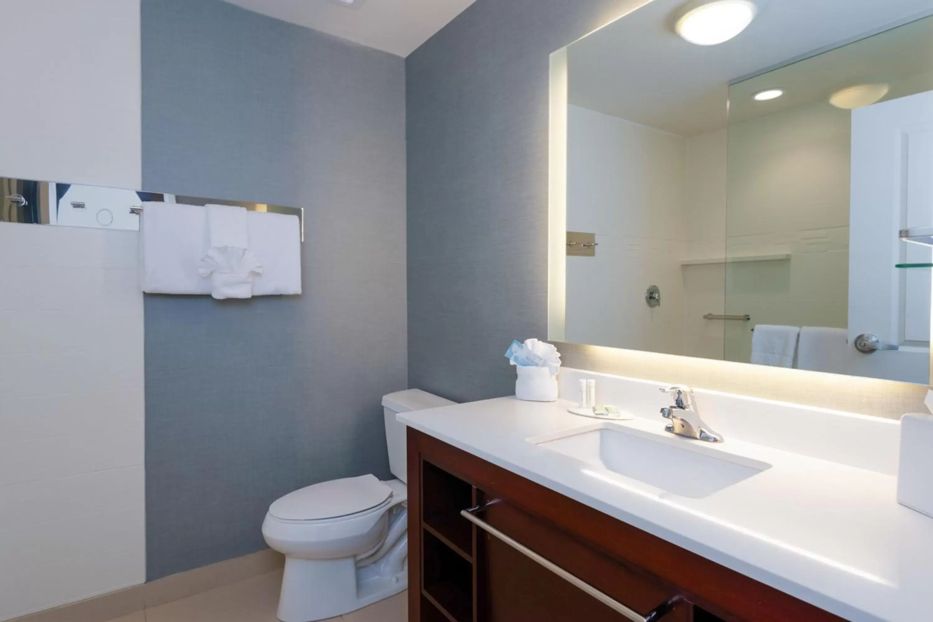 Bathroom in Residence Inn by Marriott Philadelphia Great Valley/Malvern