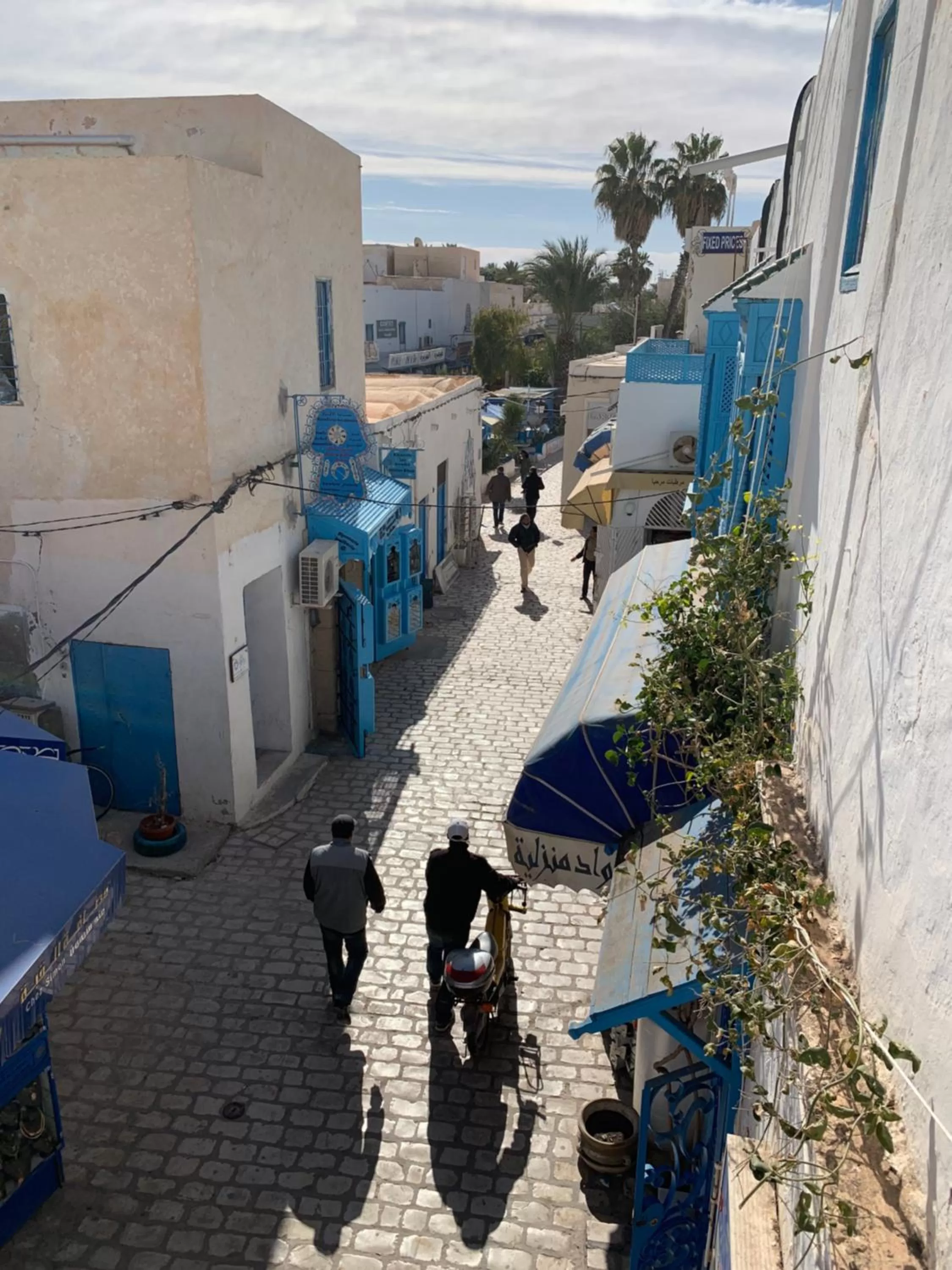 View (from property/room) in Dar Lola