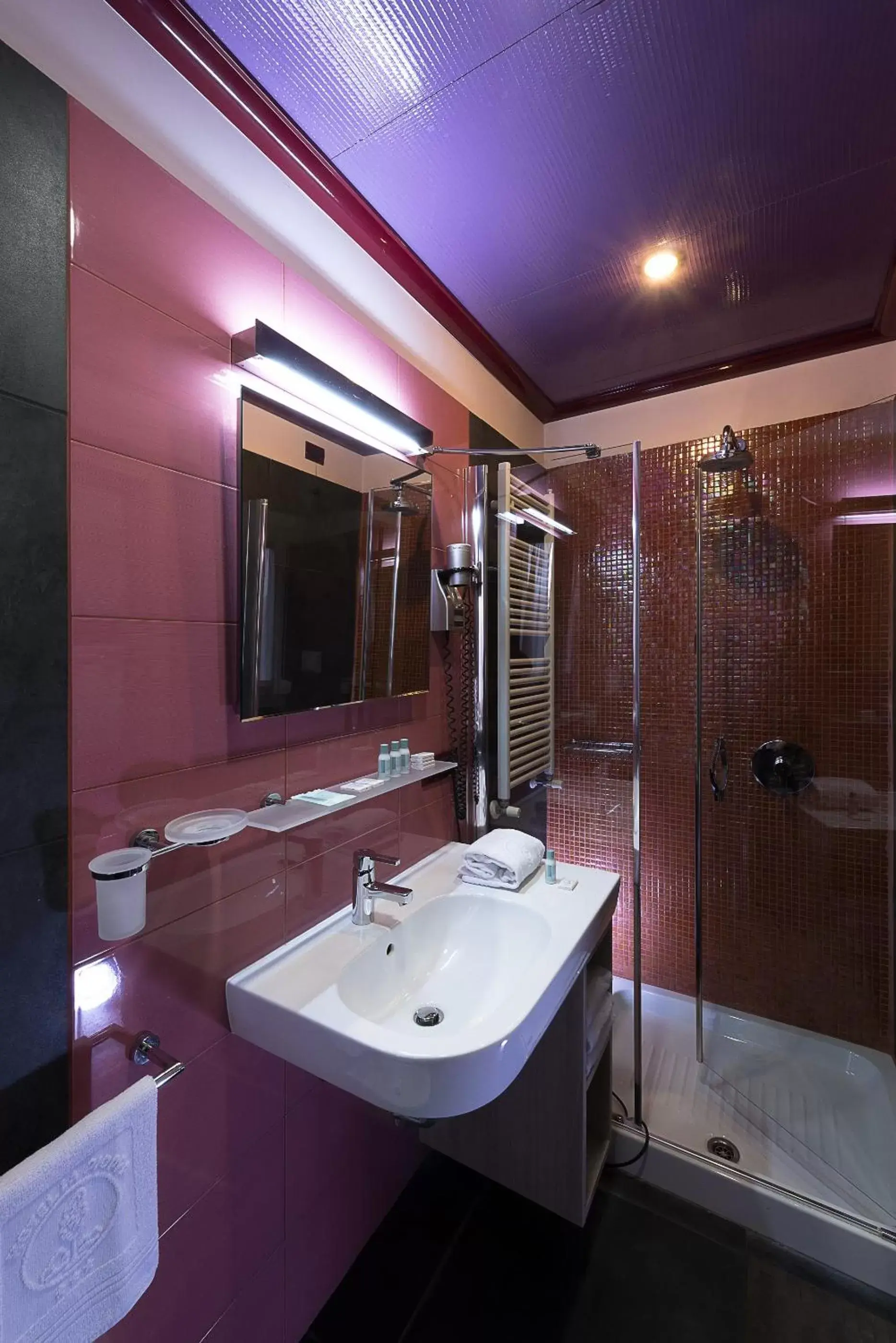 Shower, Bathroom in Hotel La Pioppa
