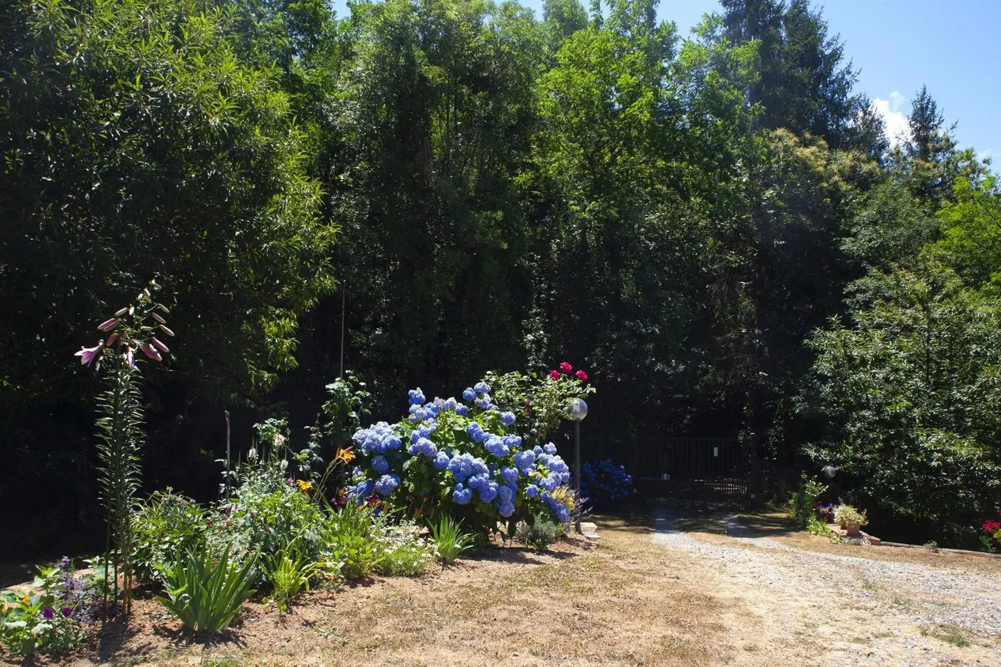 Garden in La Casa del Sole