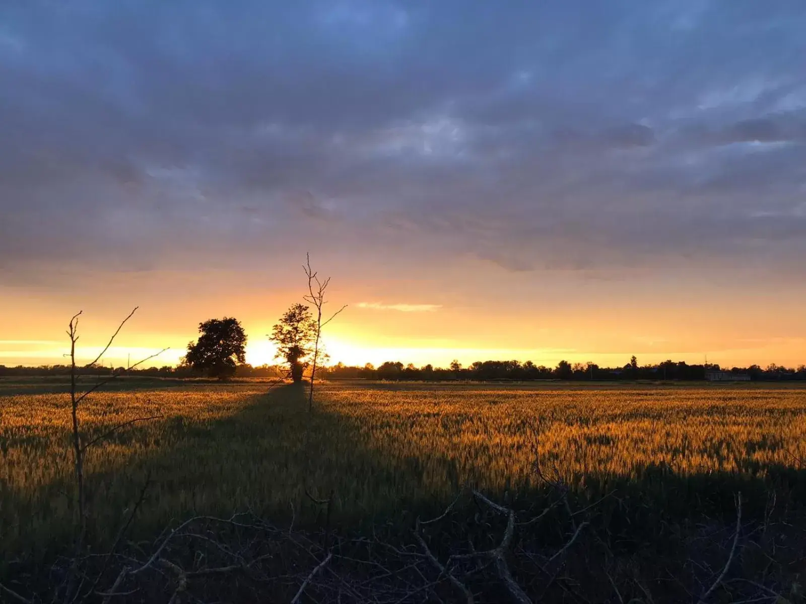 Natural landscape, Sunrise/Sunset in B&B Molinetto