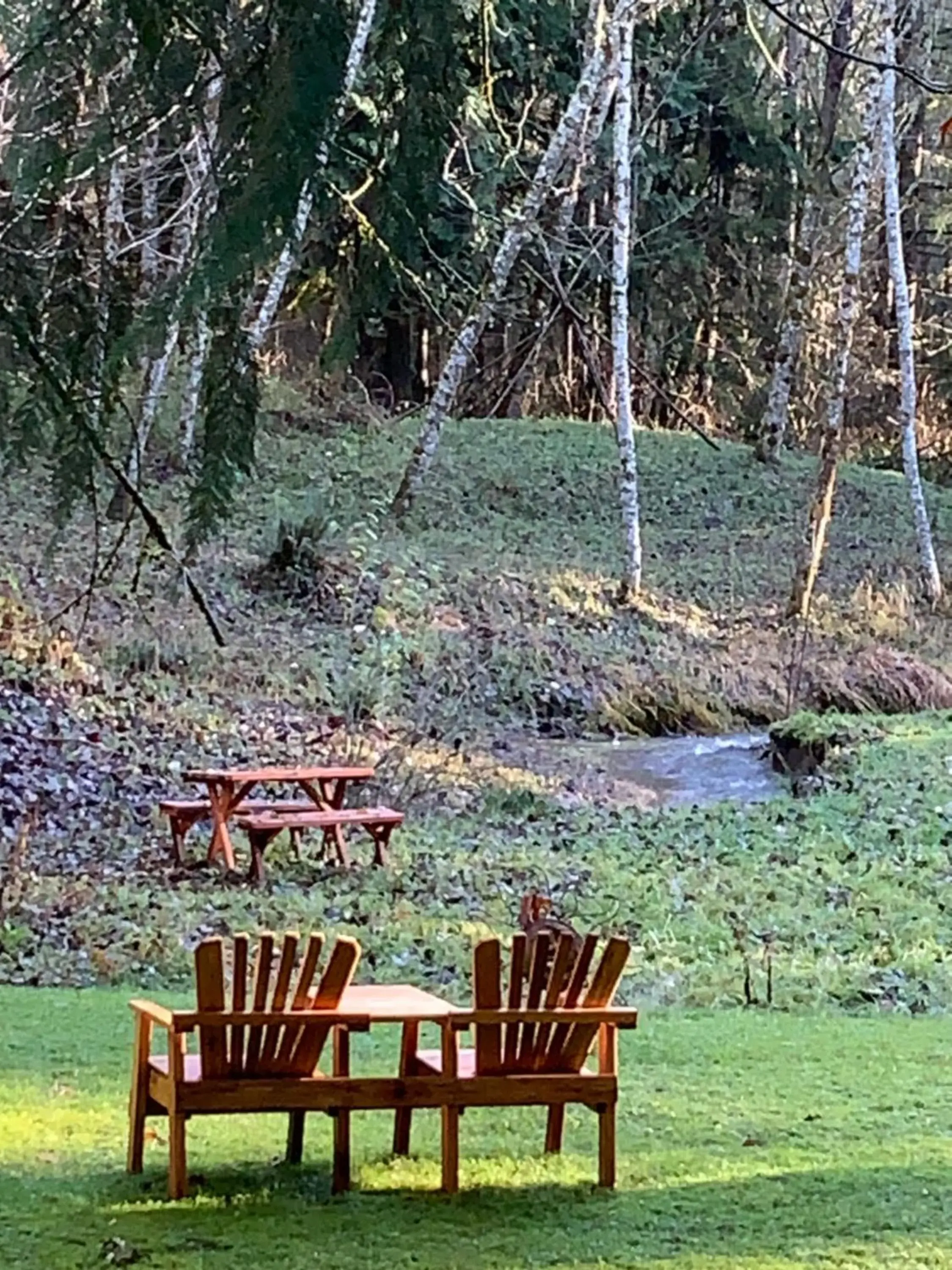 View (from property/room), Garden in Mountain Meadows Inn