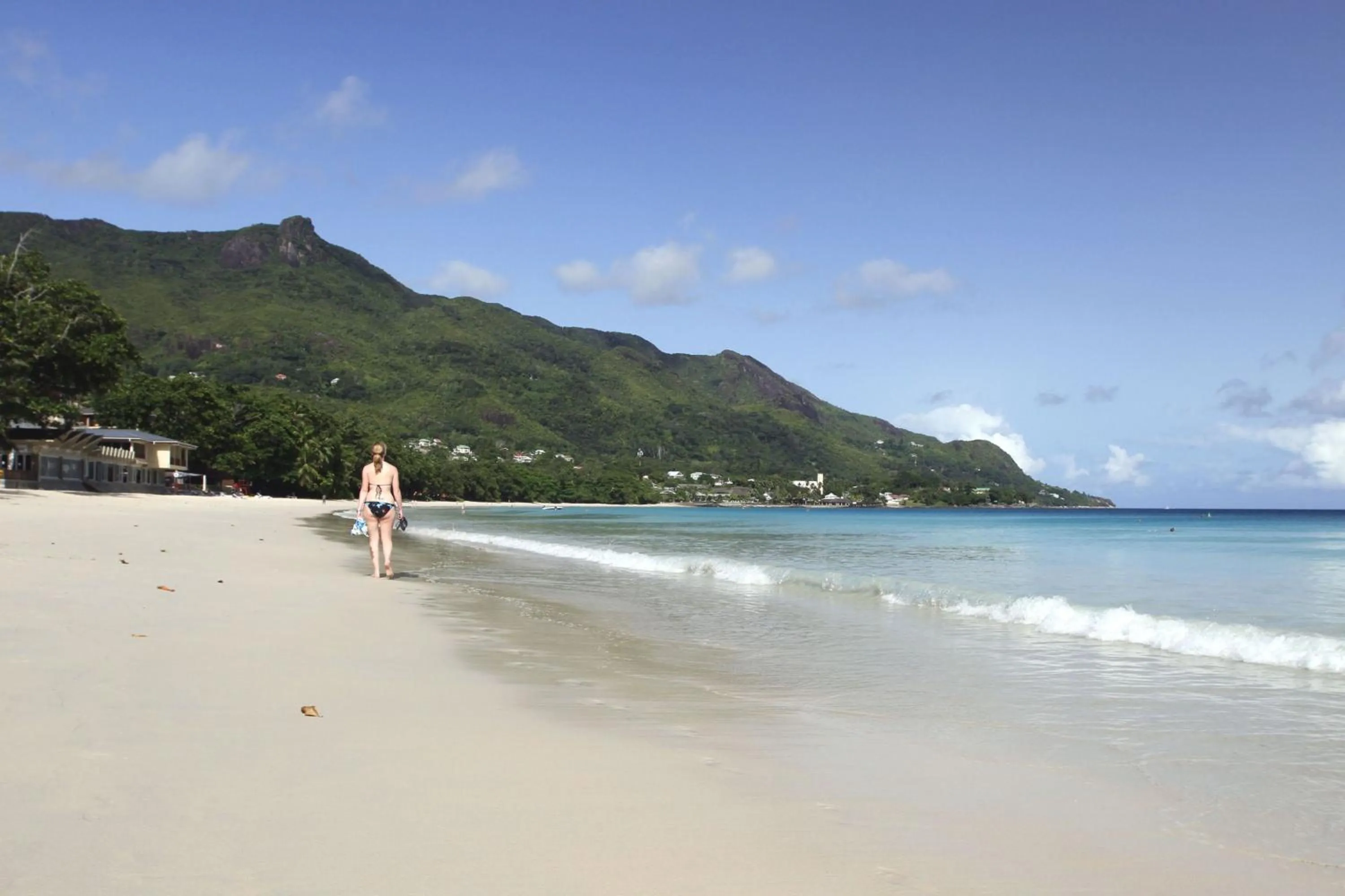 Beach in Forest Lodge