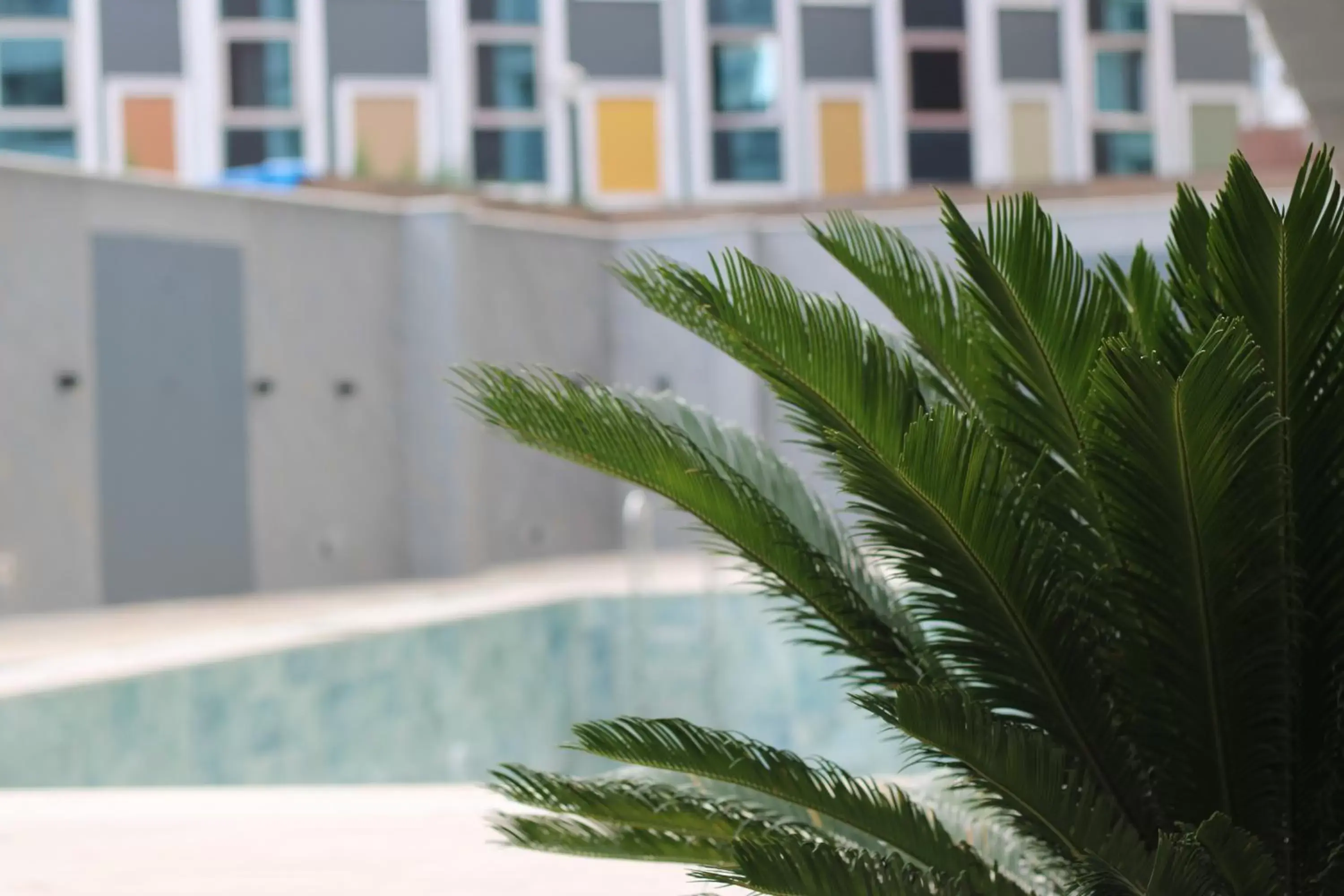 Swimming pool in Ramada Plaza Sultanahmet Swimming pool in Ramada Plaza Sultanahmet