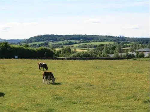 View (from property/room), Other Animals in Hillhead Farm Lets