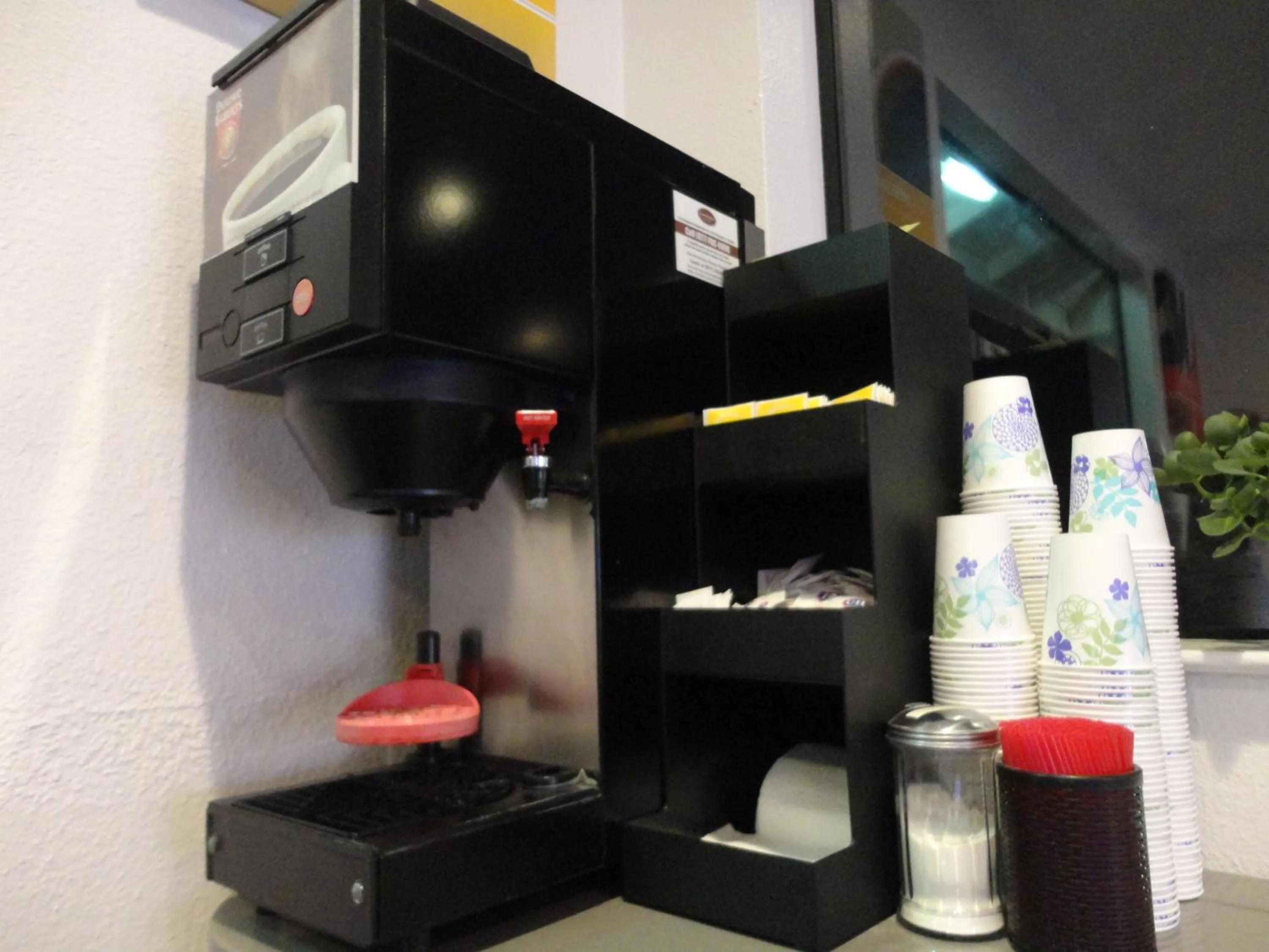 Drinks in Fisherman's Cove Inn