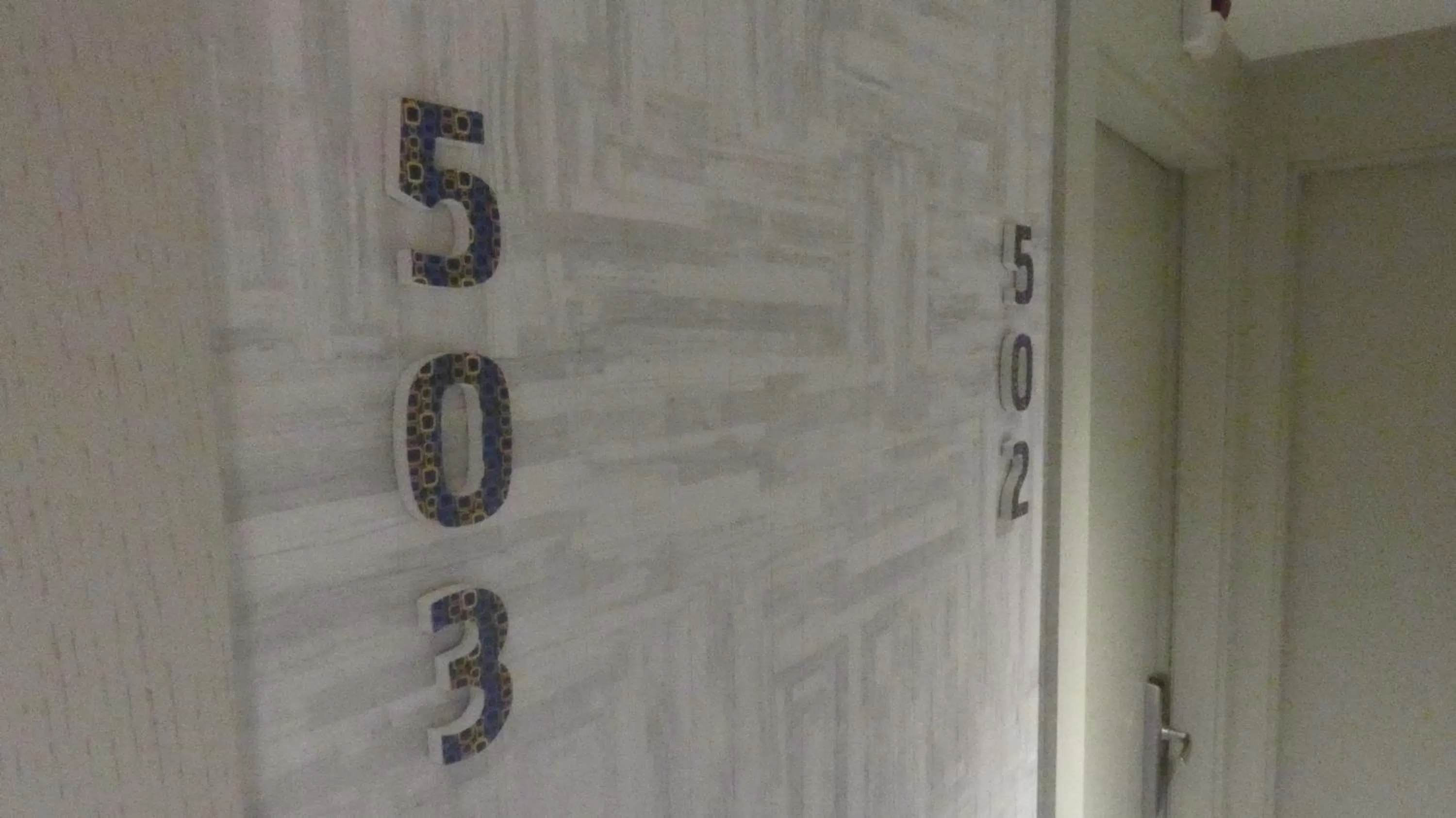 Area and facilities in Hotel Zeus