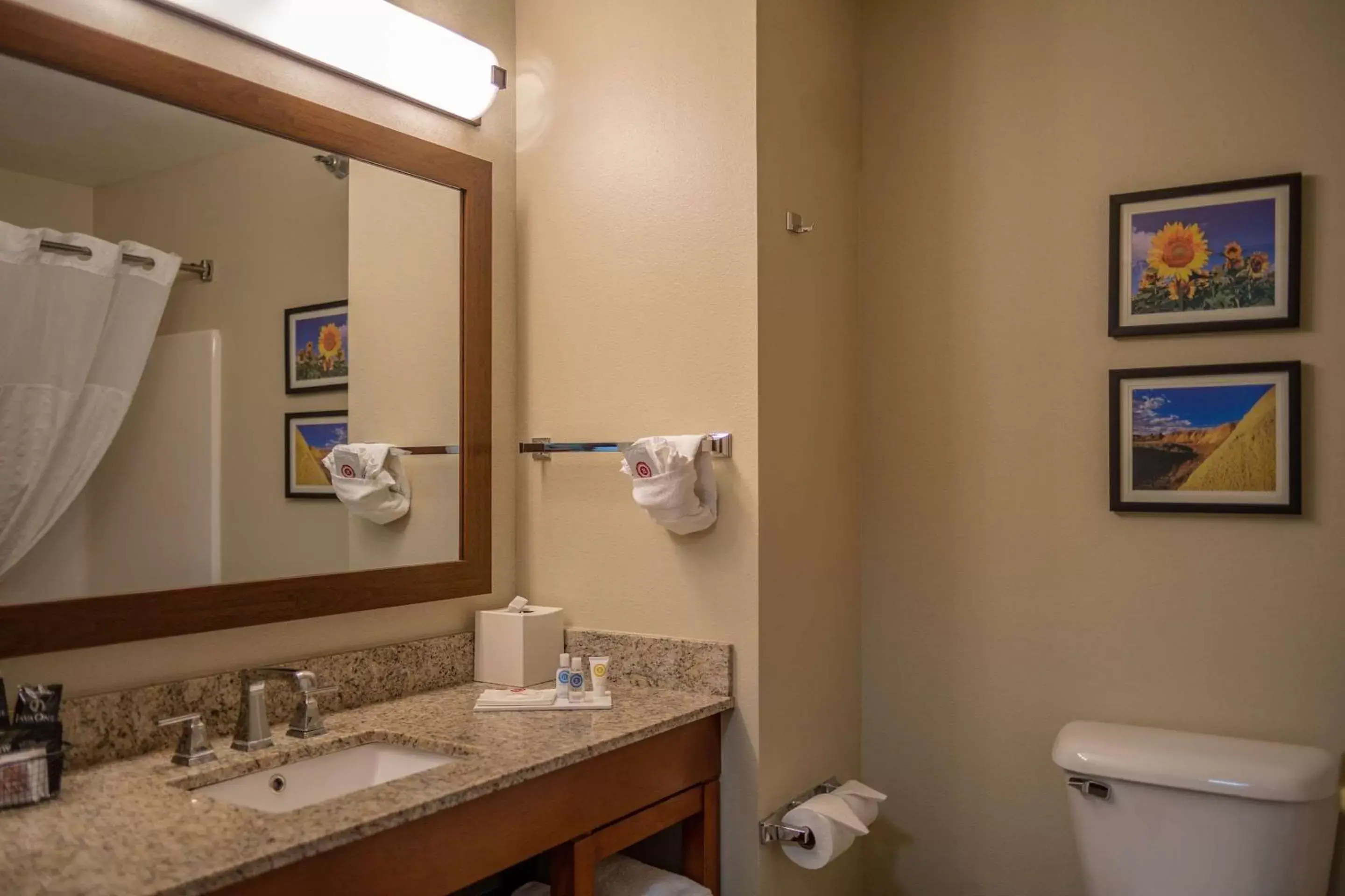 Photo of the whole room, Bathroom in Comfort Inn & Suites Near Custer State Park and Mt Rushmore