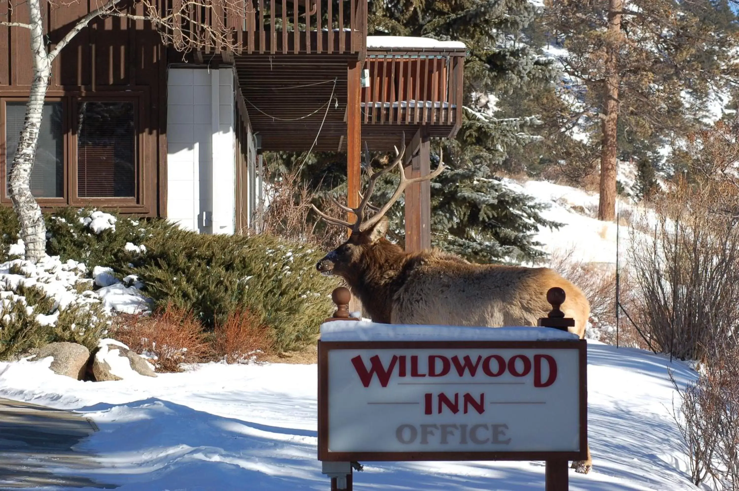 Facade/entrance in Wildwood Inn