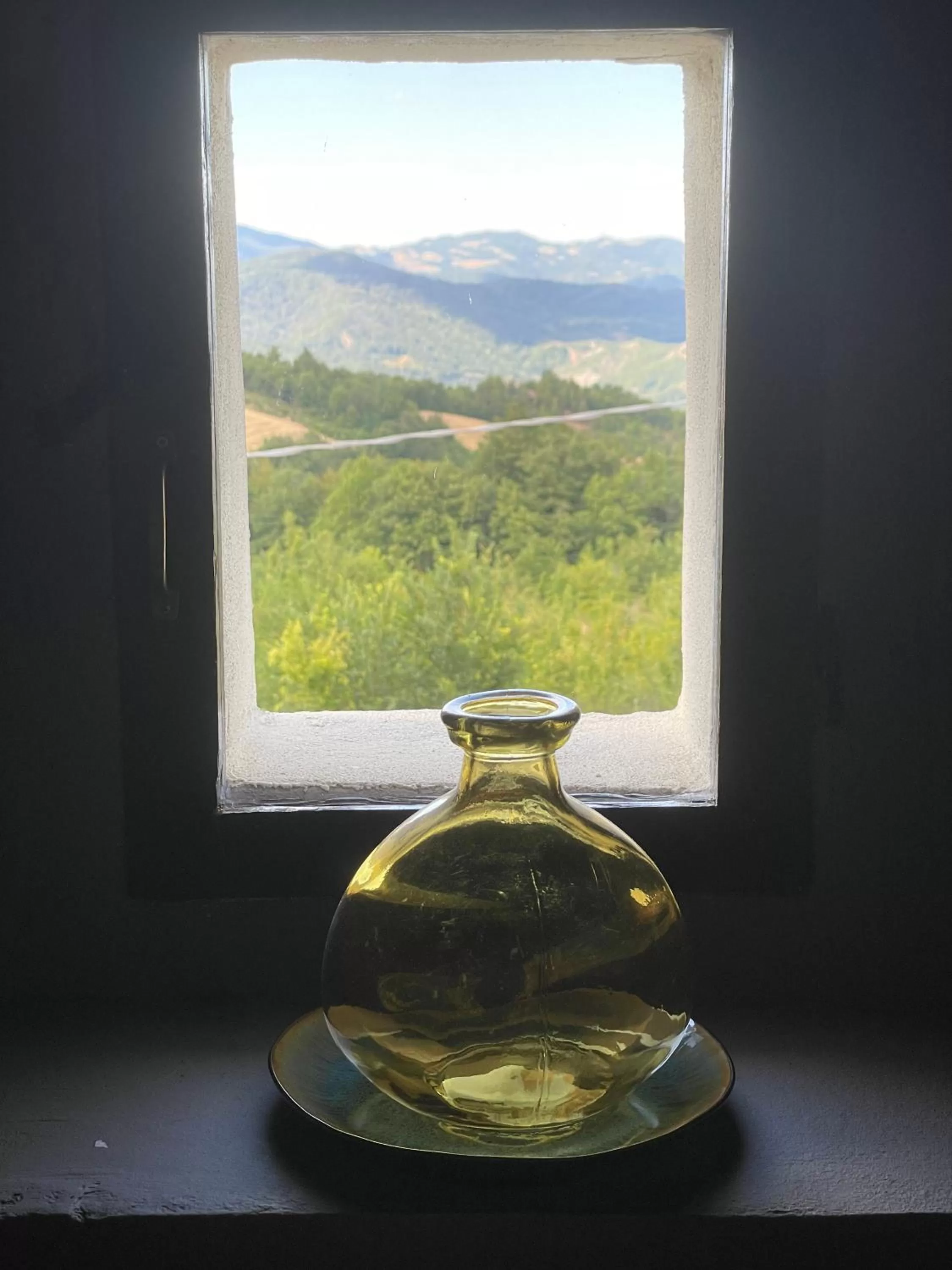 Garden view in Villa Doubledot