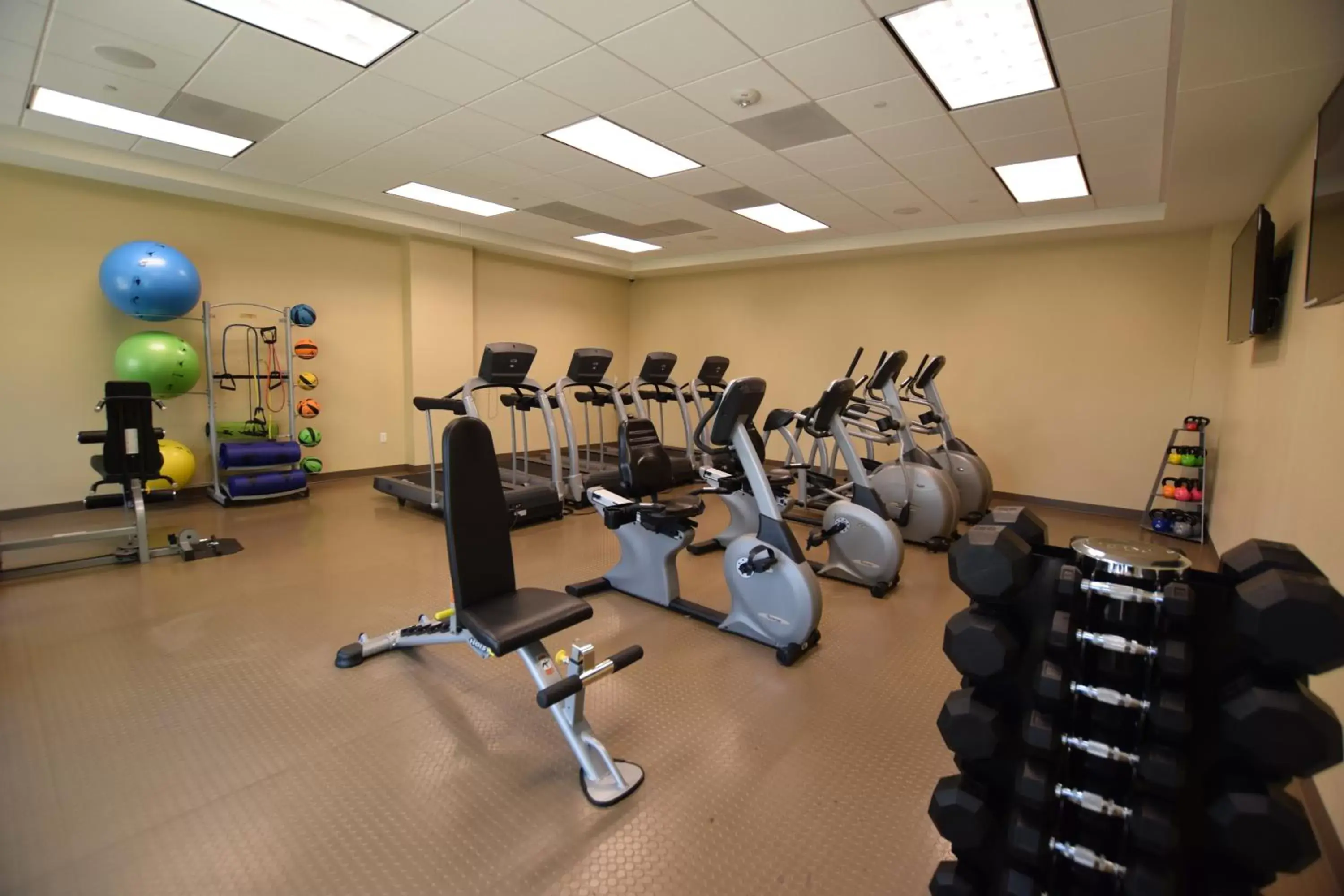 Fitness centre/facilities, Fitness Center/Facilities in The Berkley, Las Vegas