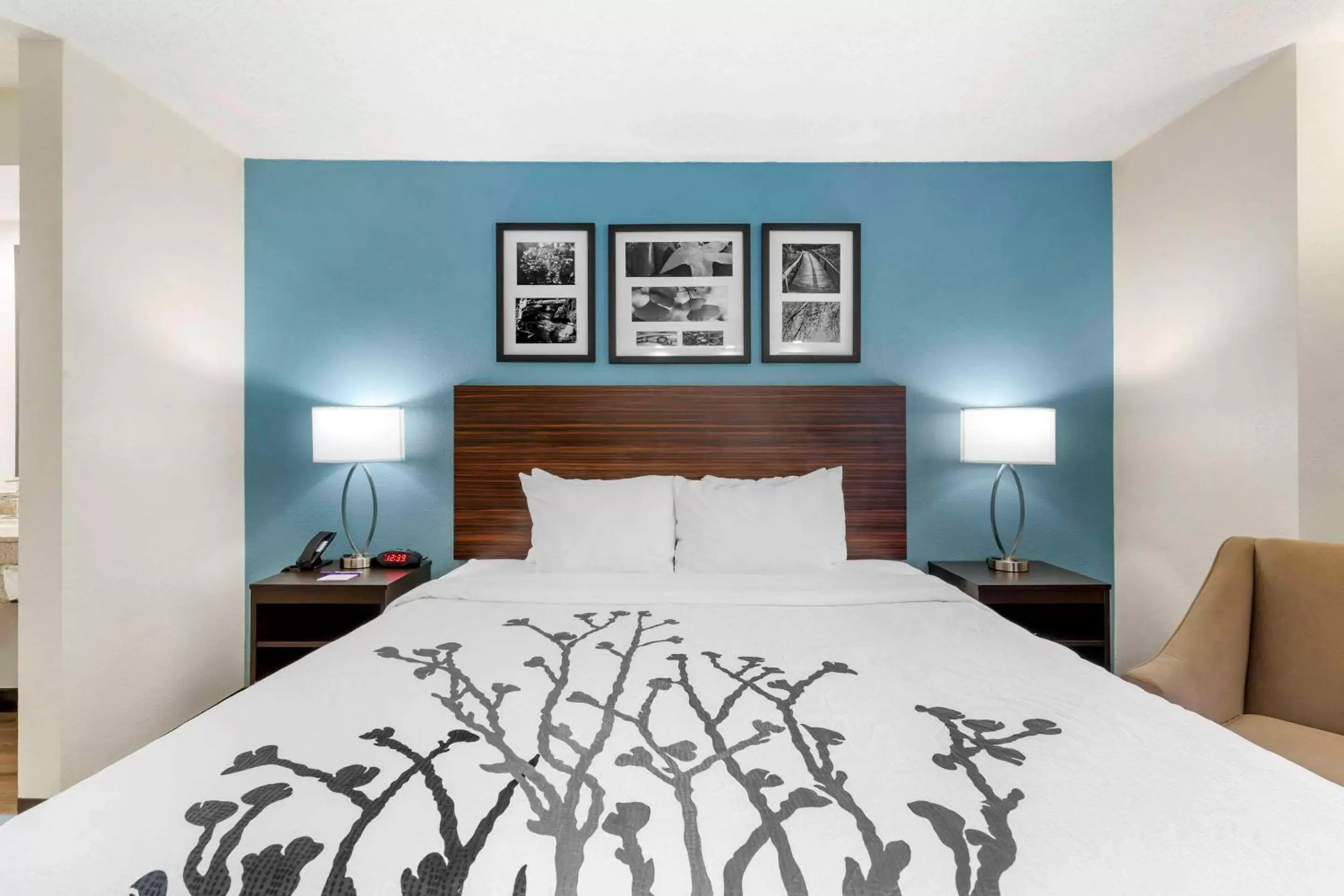 Bedroom, Bed in Sleep Inn Mount Pleasant - Charleston