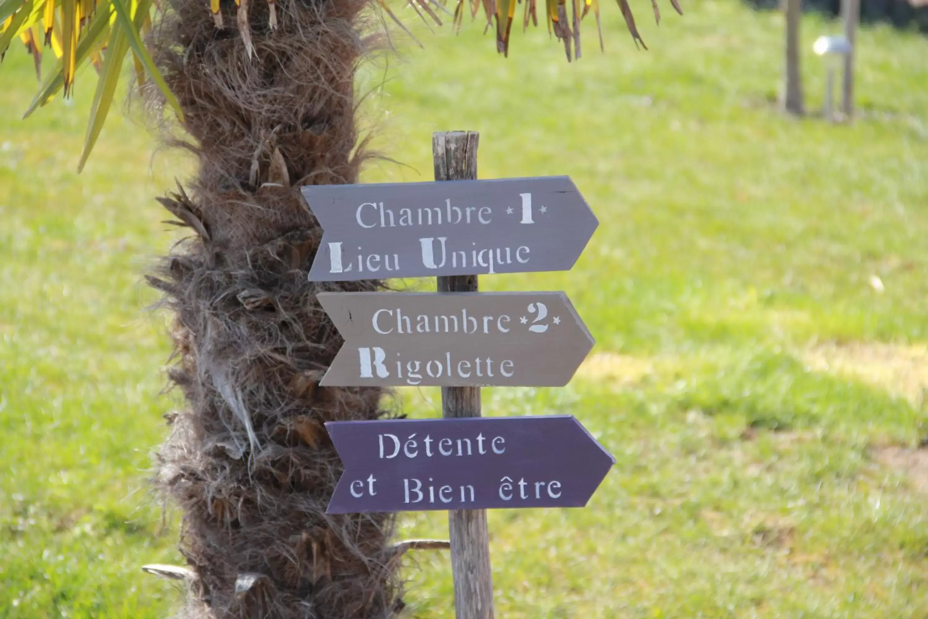 Garden in Le Temps des Hôtes