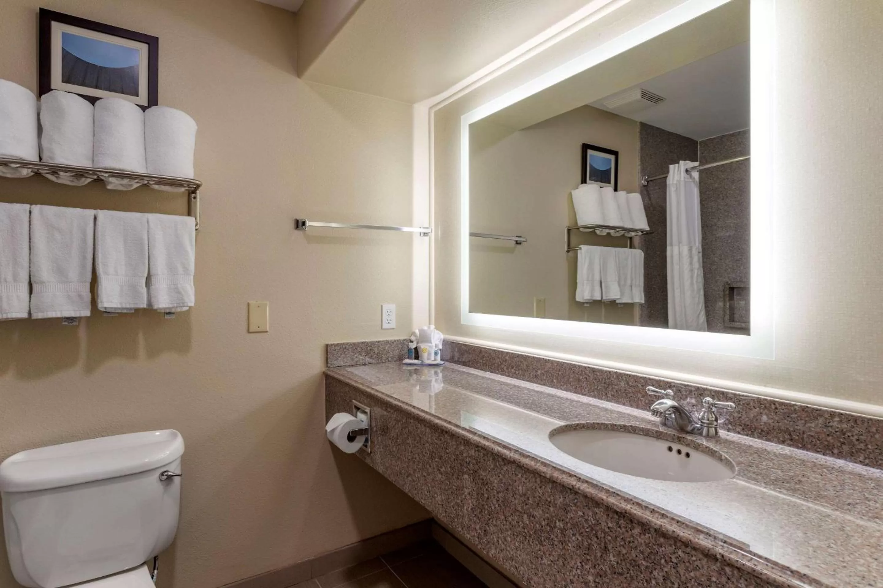 Bathroom in Comfort Suites Houston near Medical Center- NRG Stadium