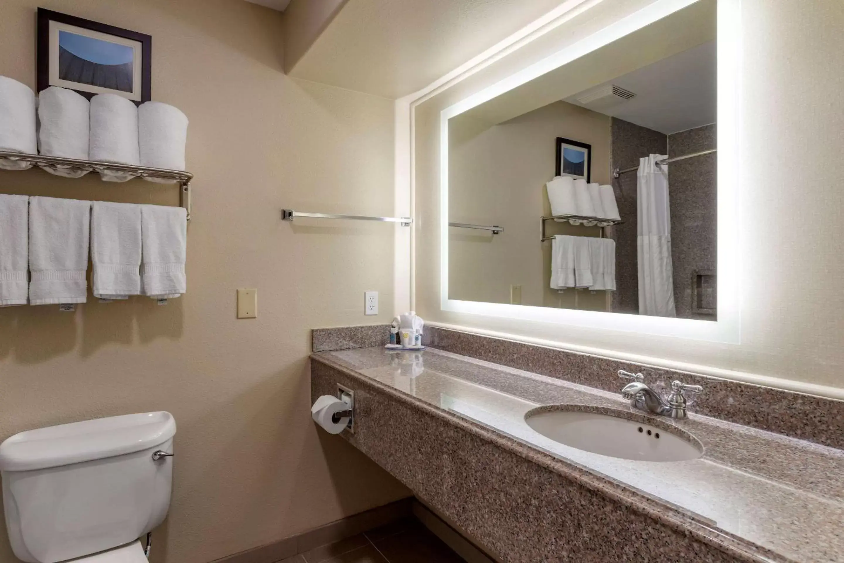 Bedroom, Bathroom in Comfort Suites near Texas Medical Center - NRG Stadium