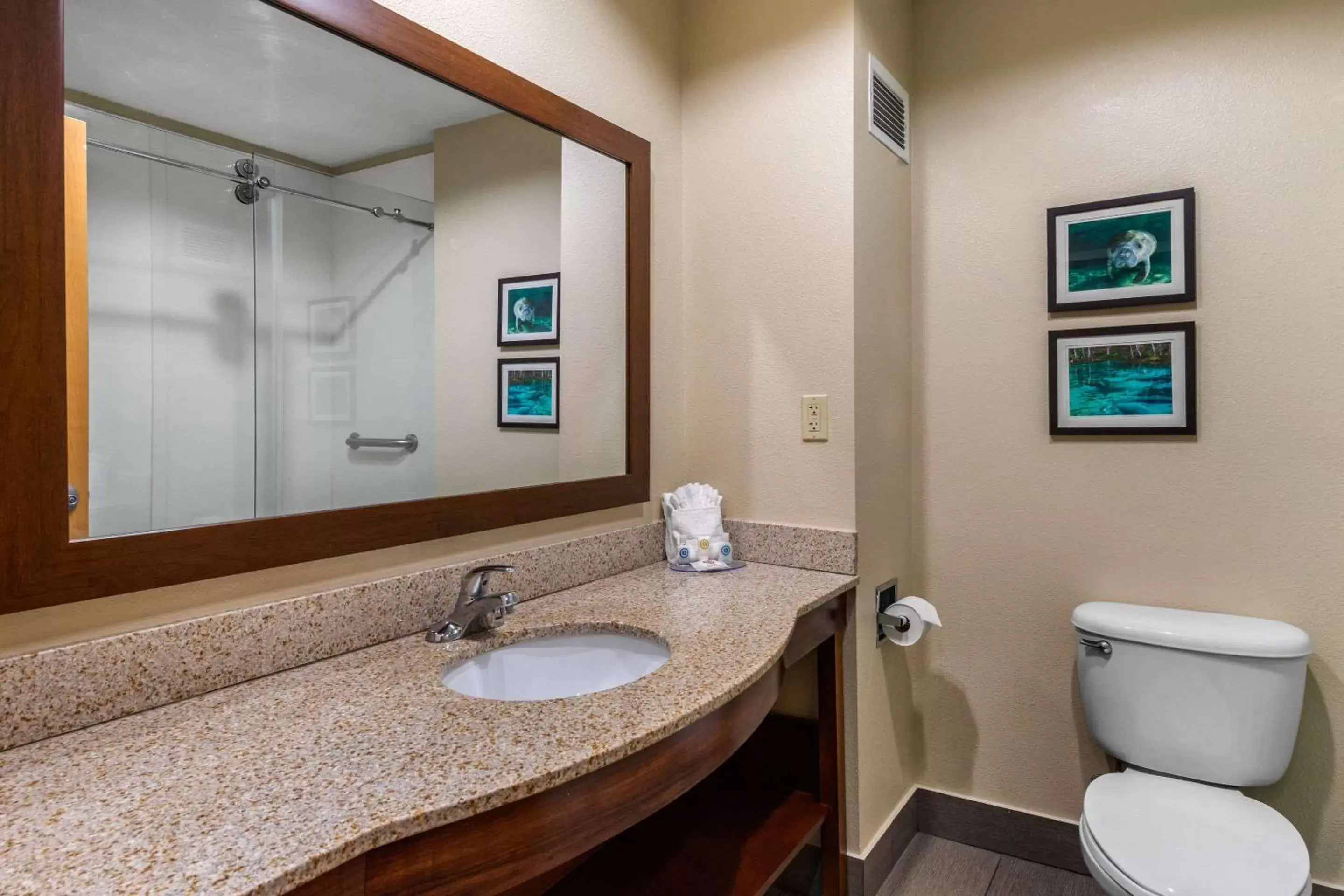 Photo of the whole room, Bathroom in Comfort Inn & Suites Wildwood – The Villages