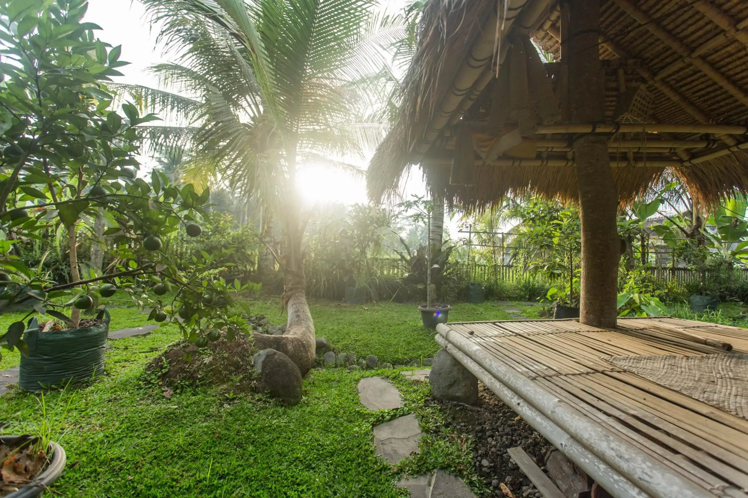Garden in Ubud Luwih Nature Retreat